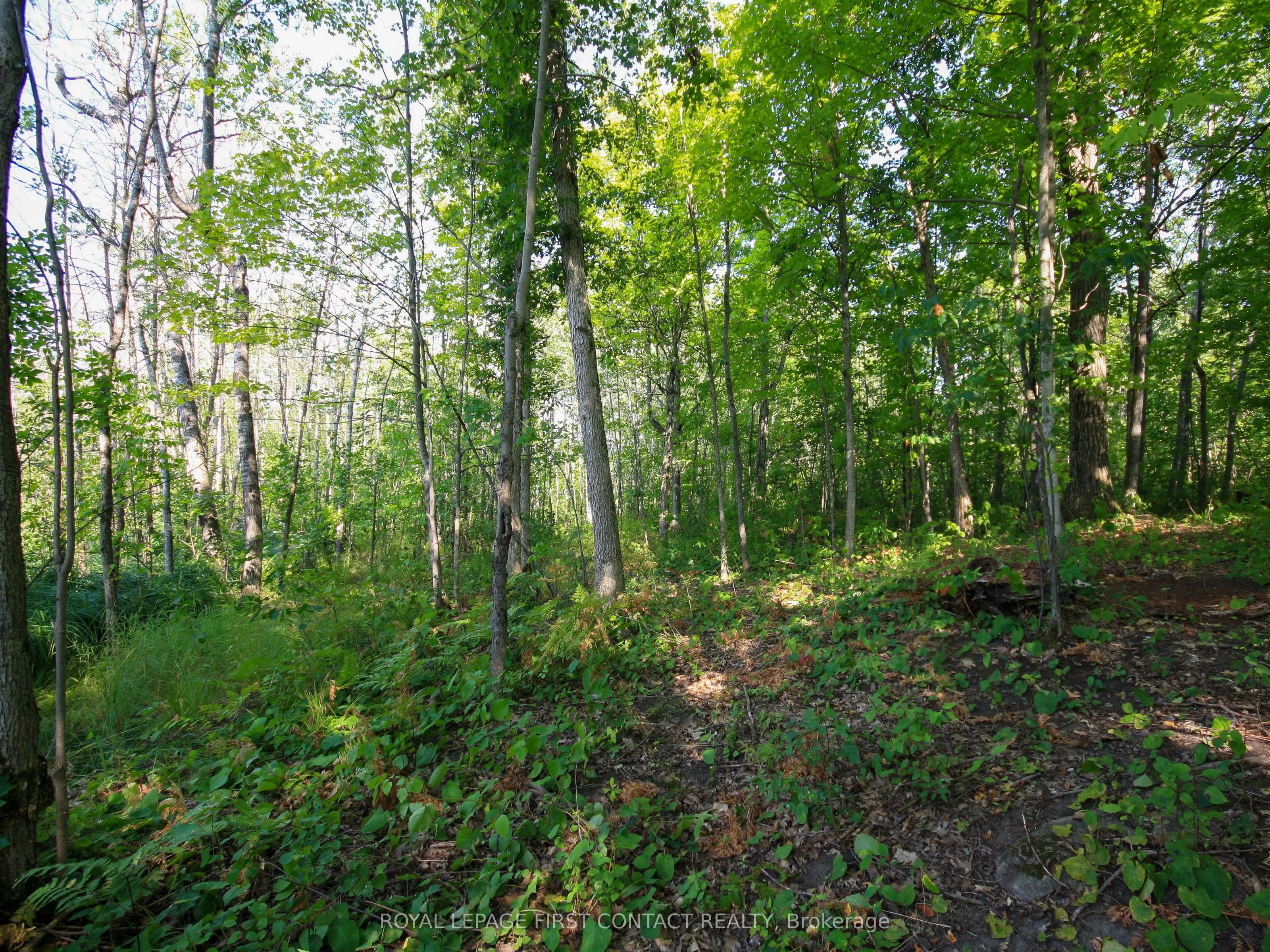 213 Birch Acres Drive