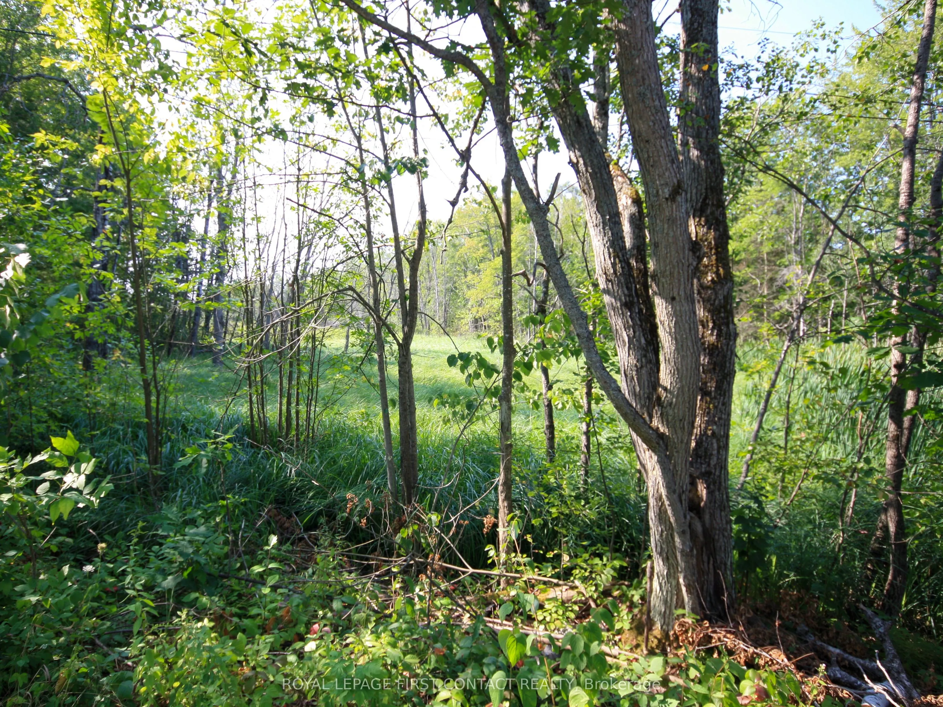 213 Birch Acres Drive