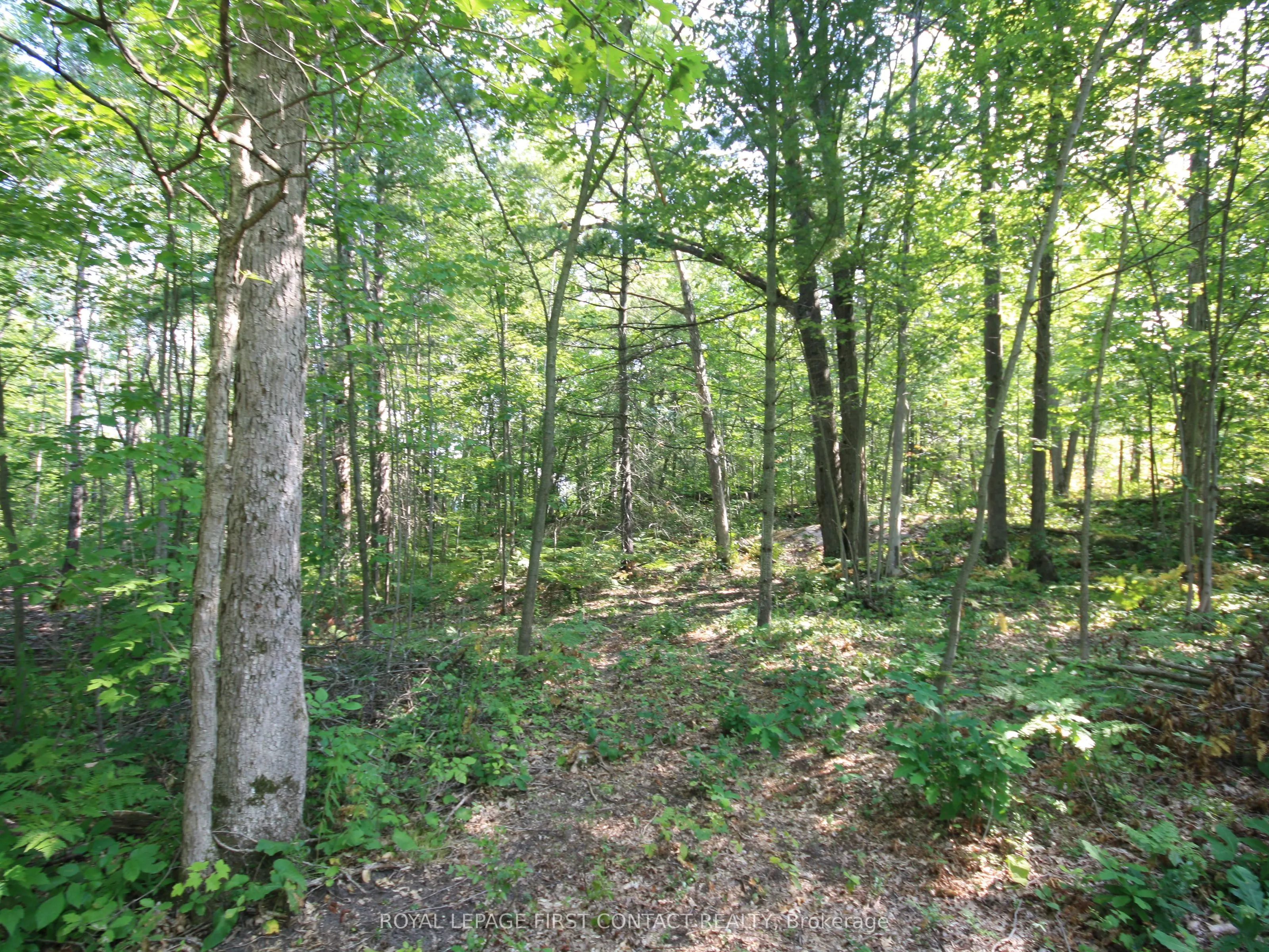 213 Birch Acres Drive