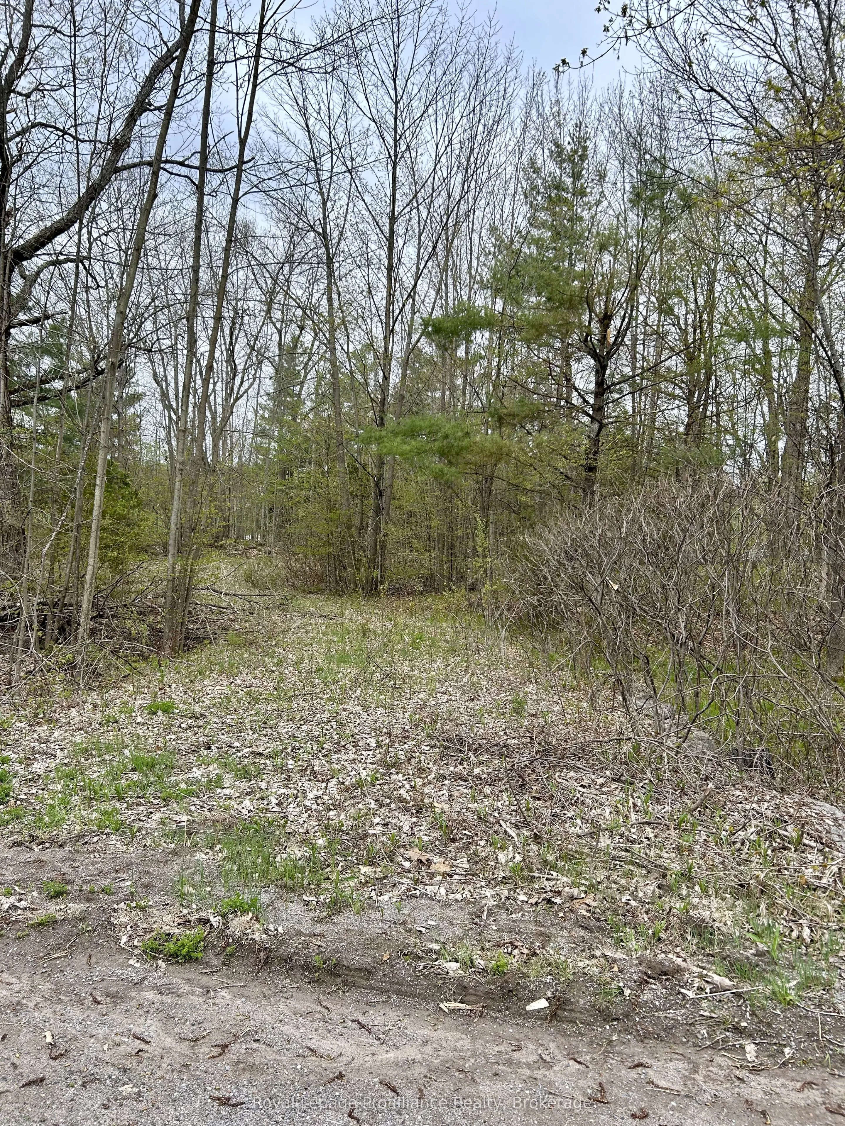 31 Glen Ridge Road