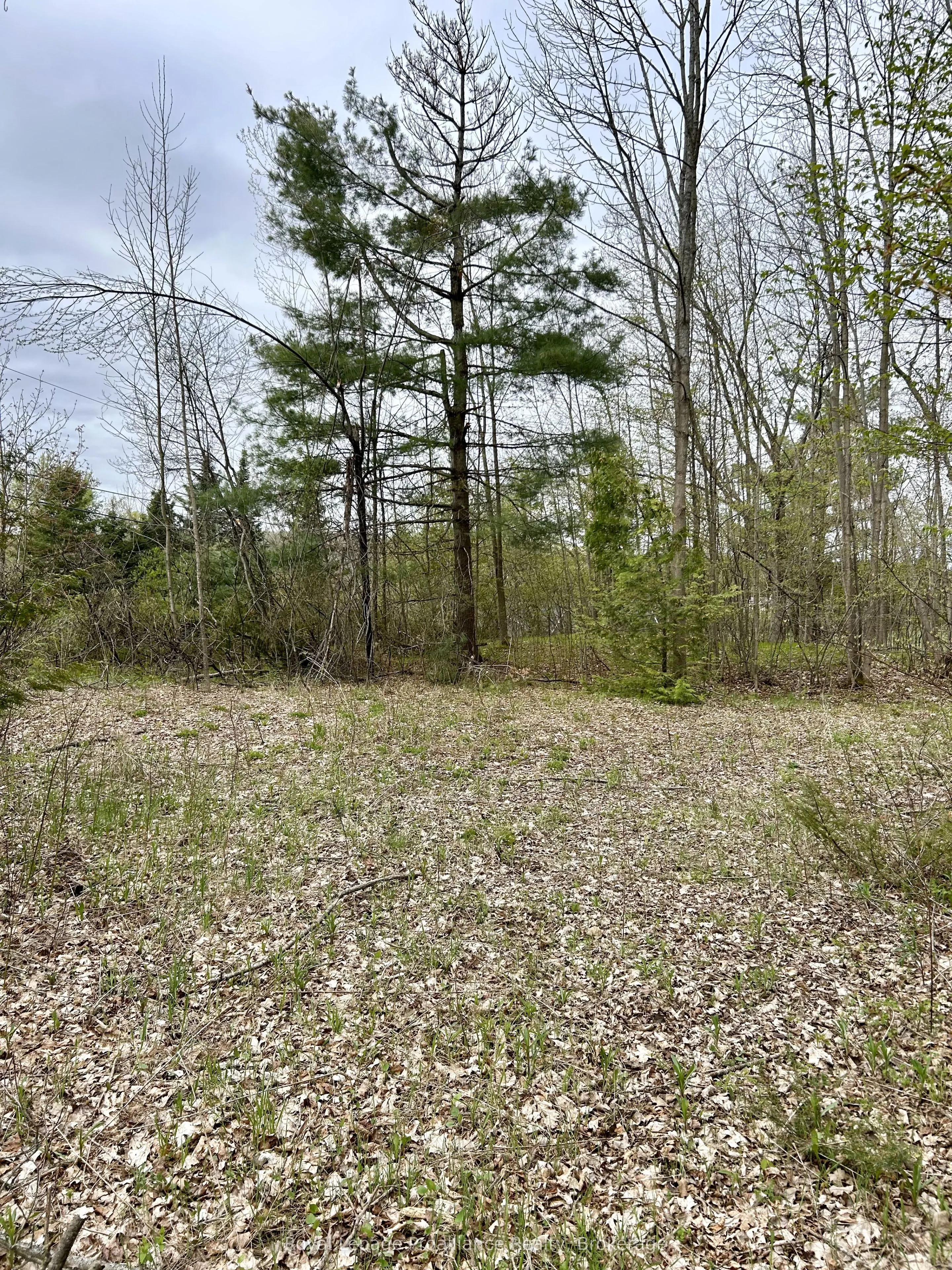 31 Glen Ridge Road