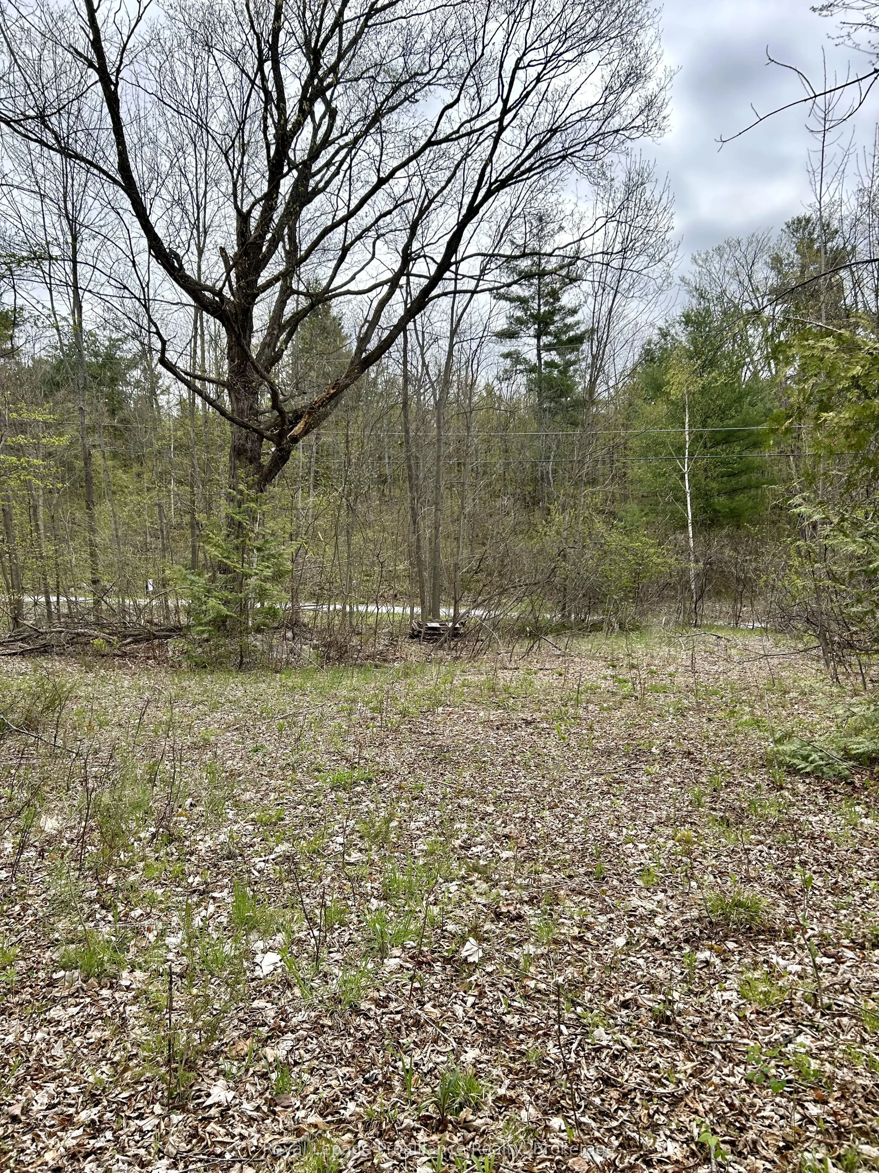 31 Glen Ridge Road