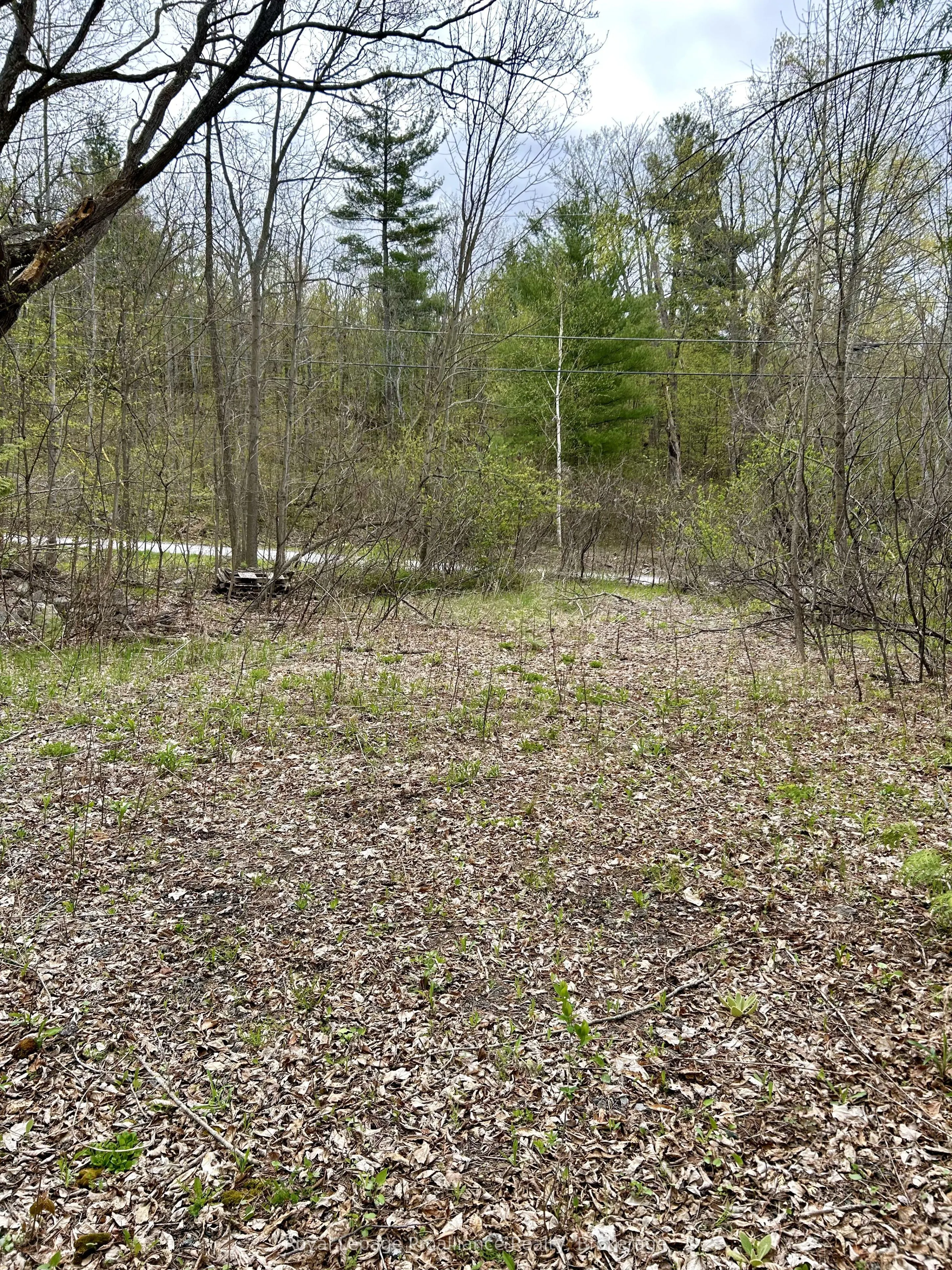 31 Glen Ridge Road