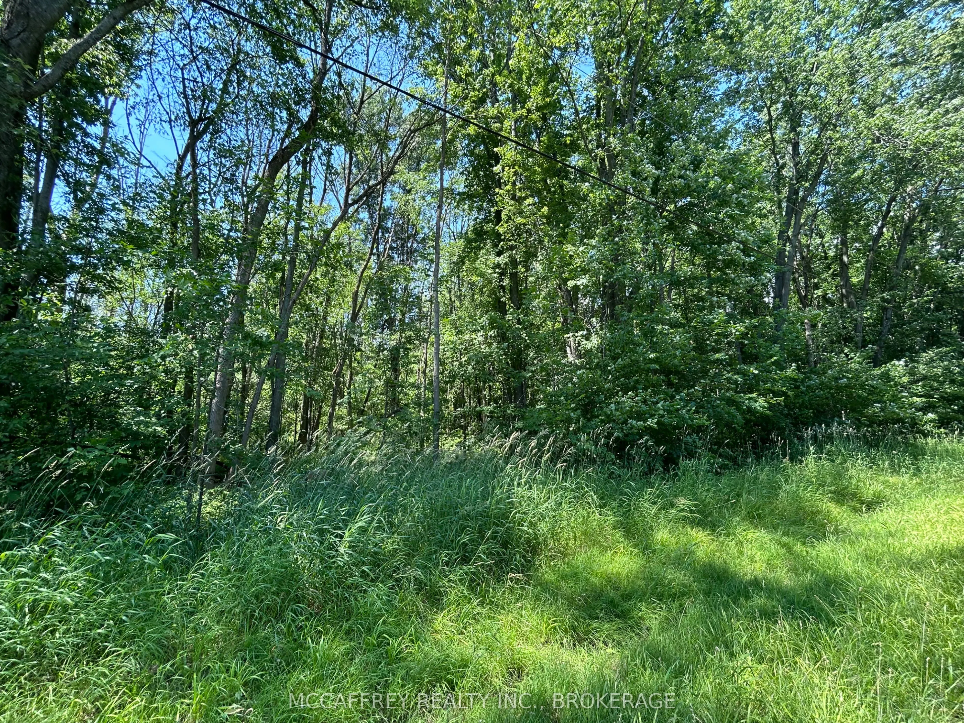 358 Townline Road