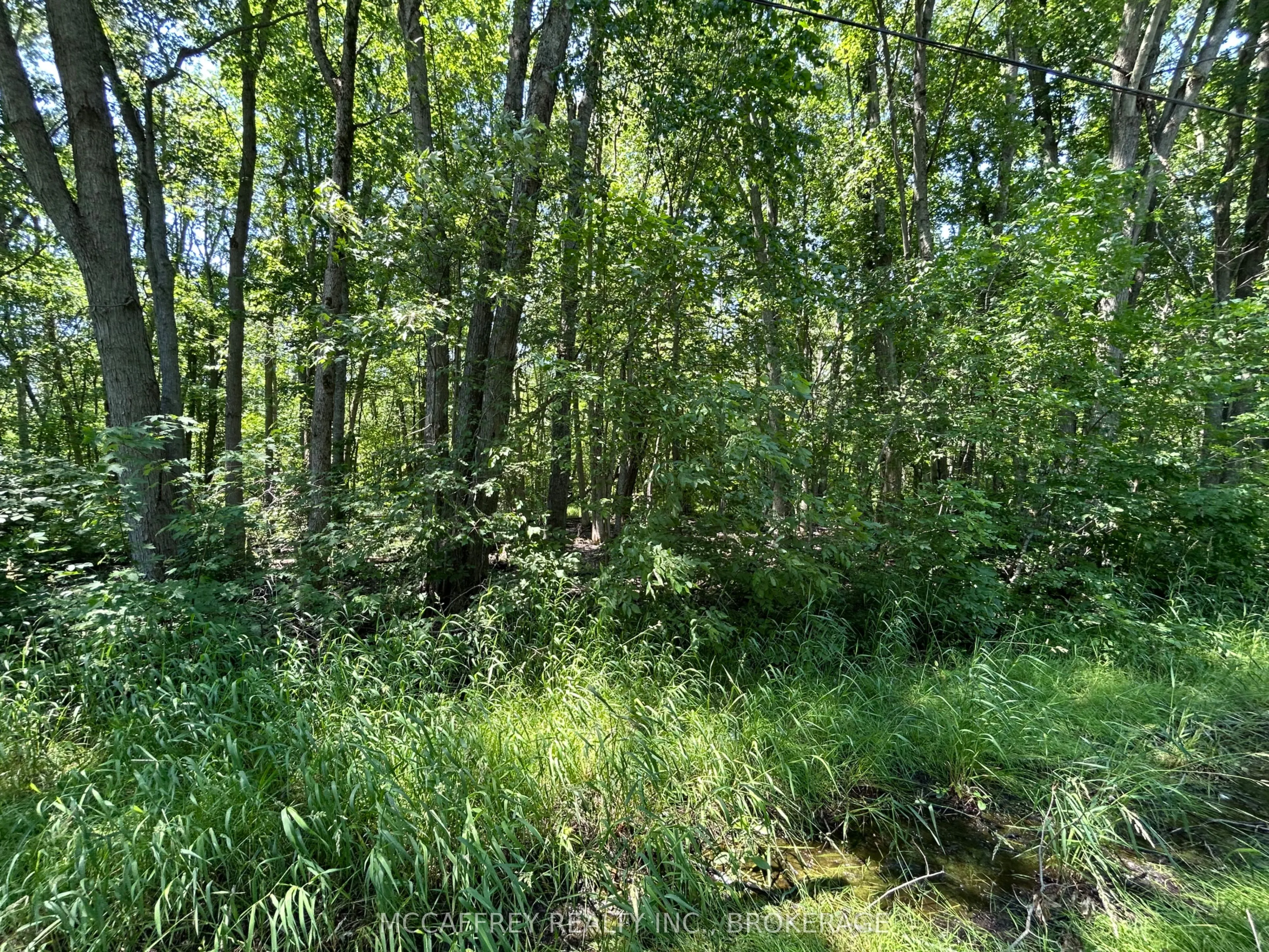 358 Townline Road
