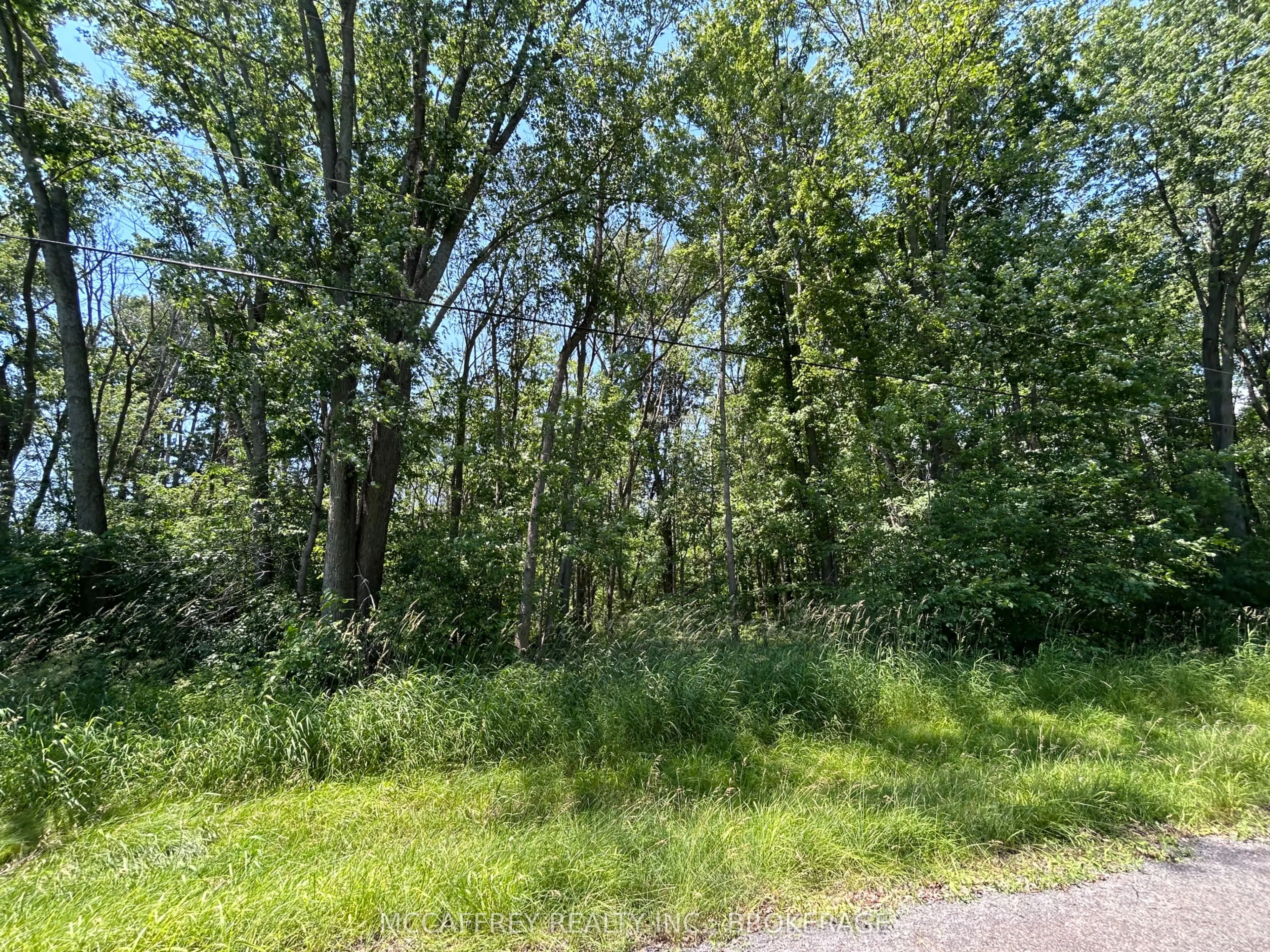 358 Townline Road