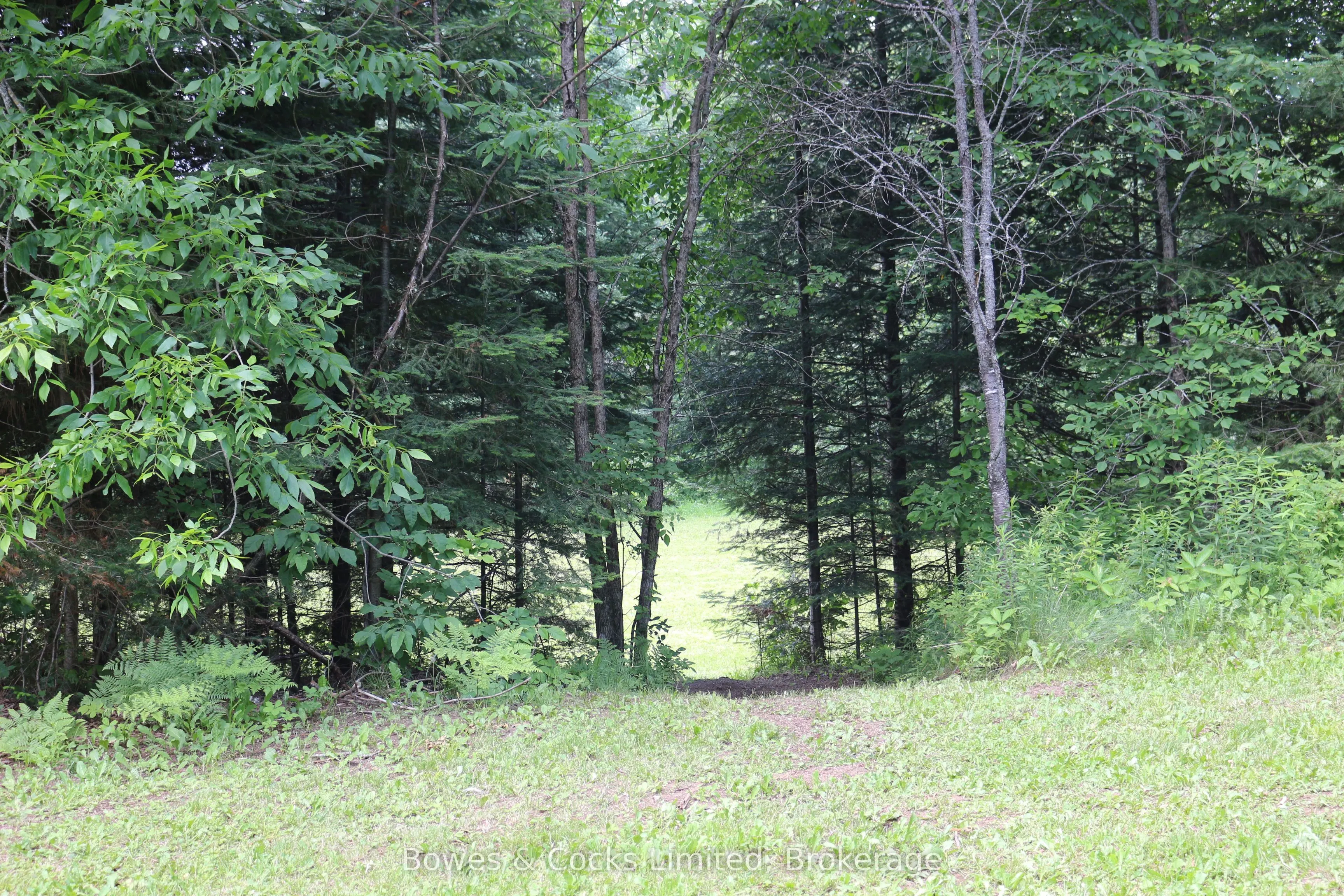 3994 County Road 620