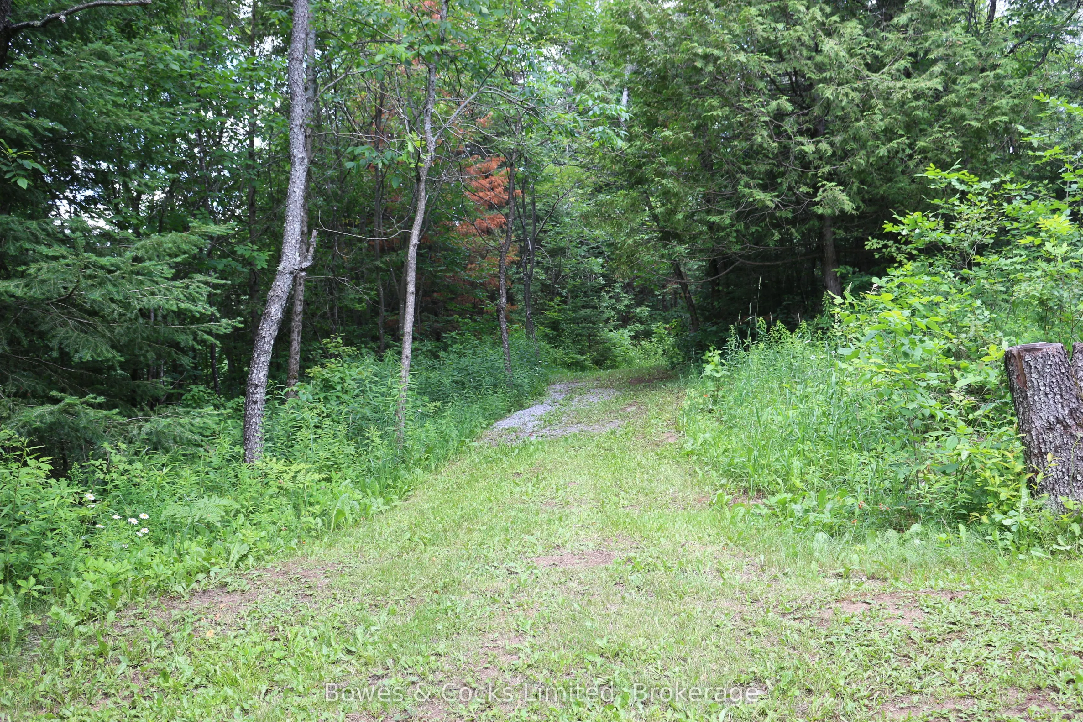 3994 County Road 620