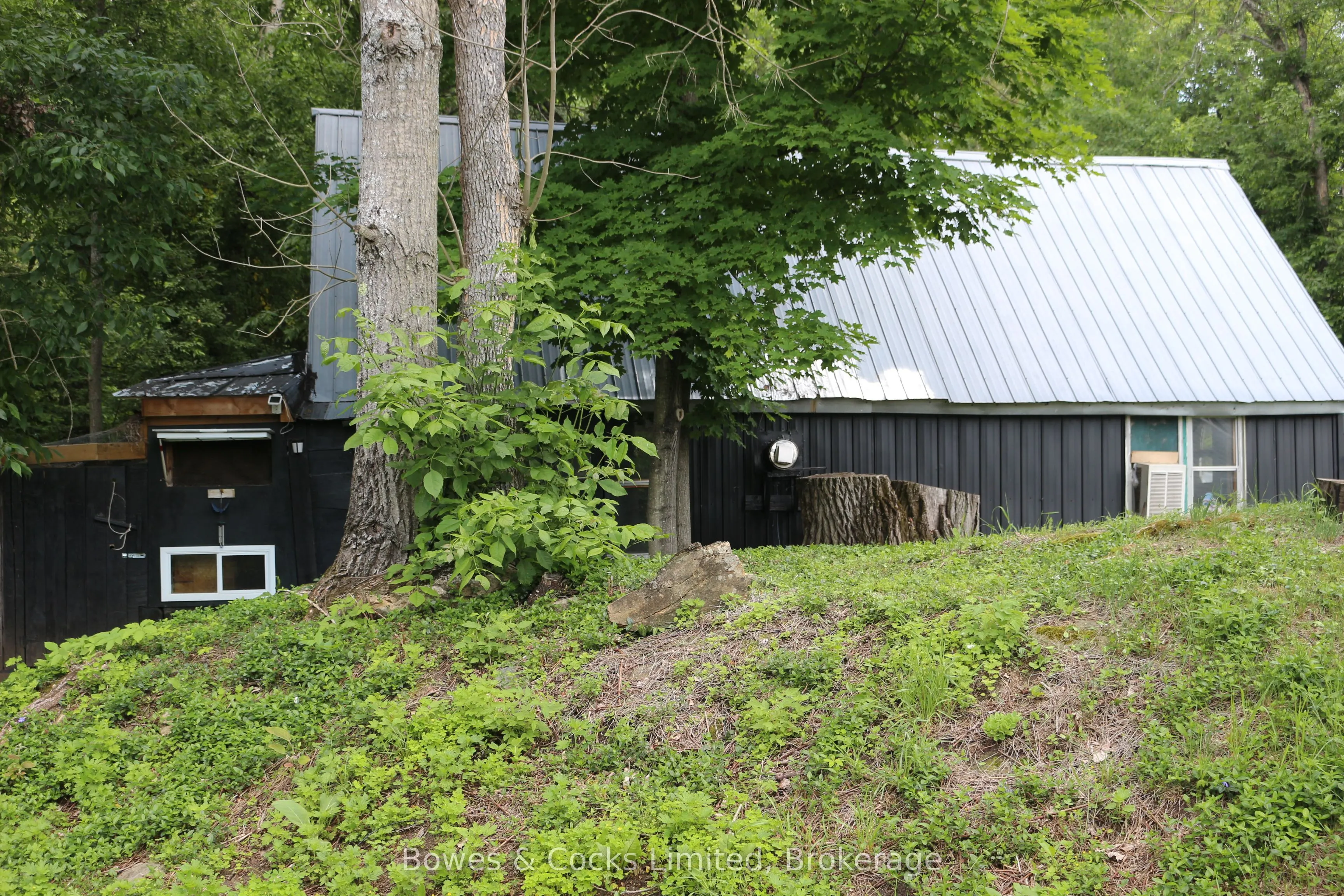 3994 County Road 620
