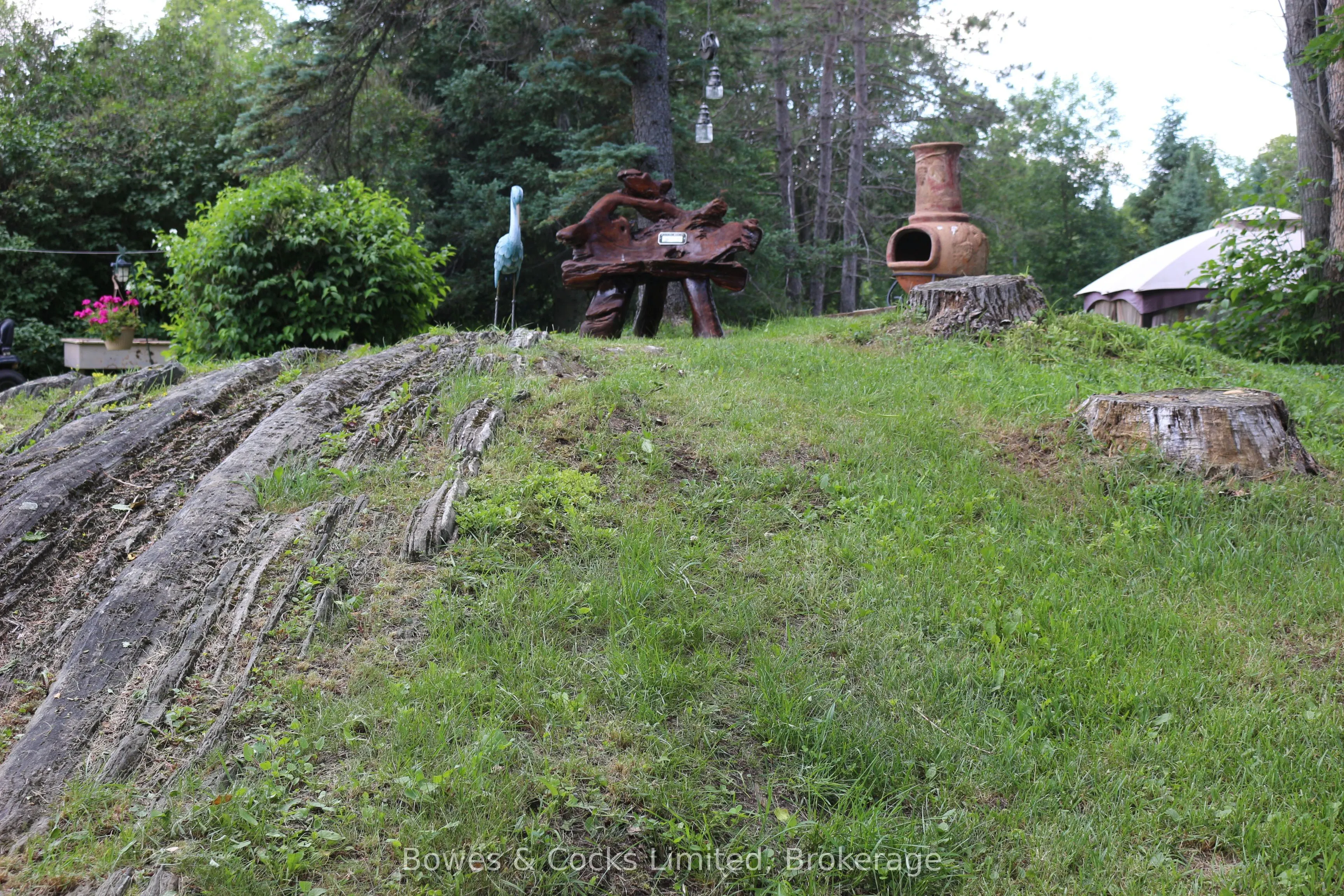 3994 County Road 620