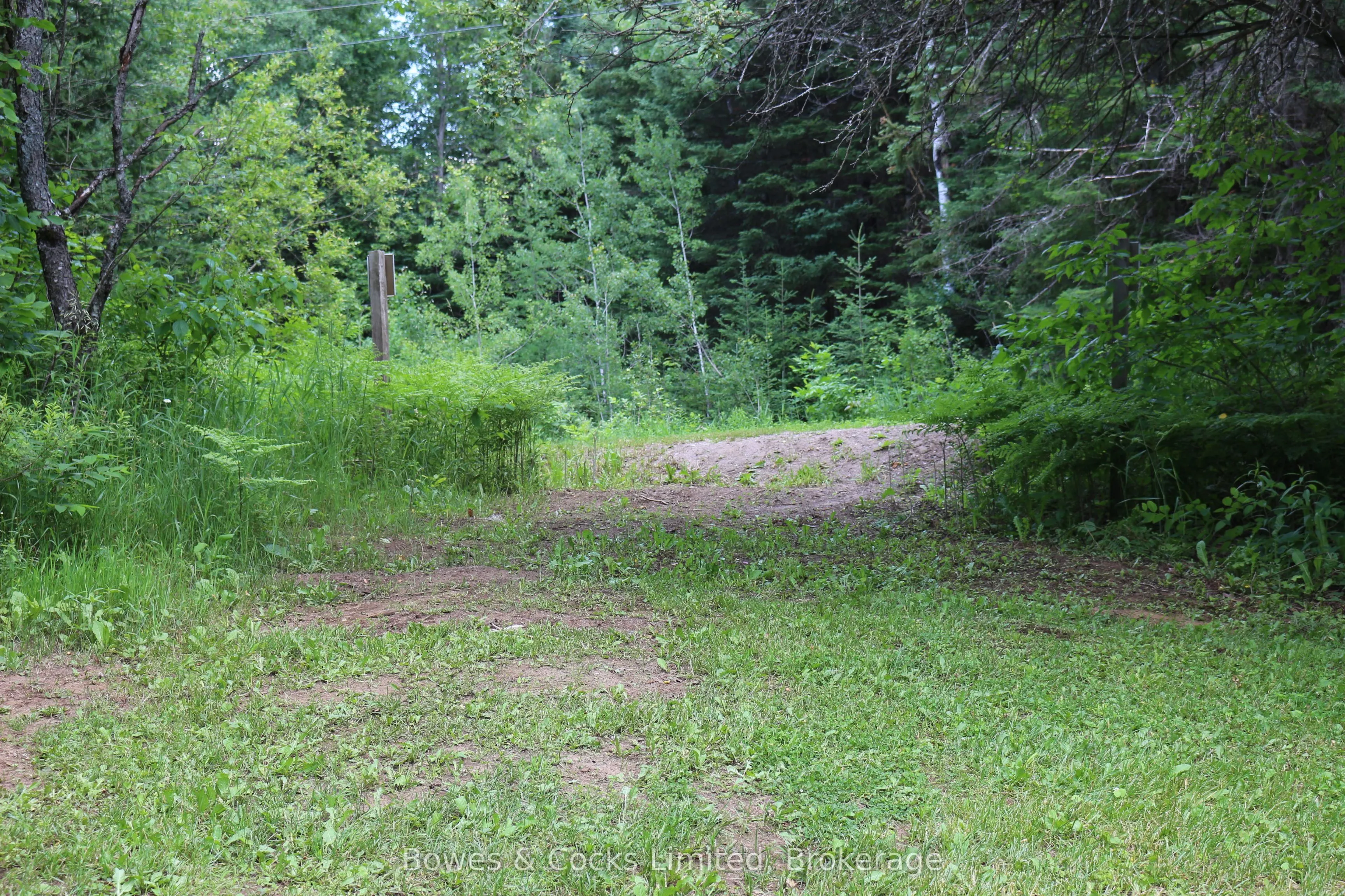 3994 County Road 620