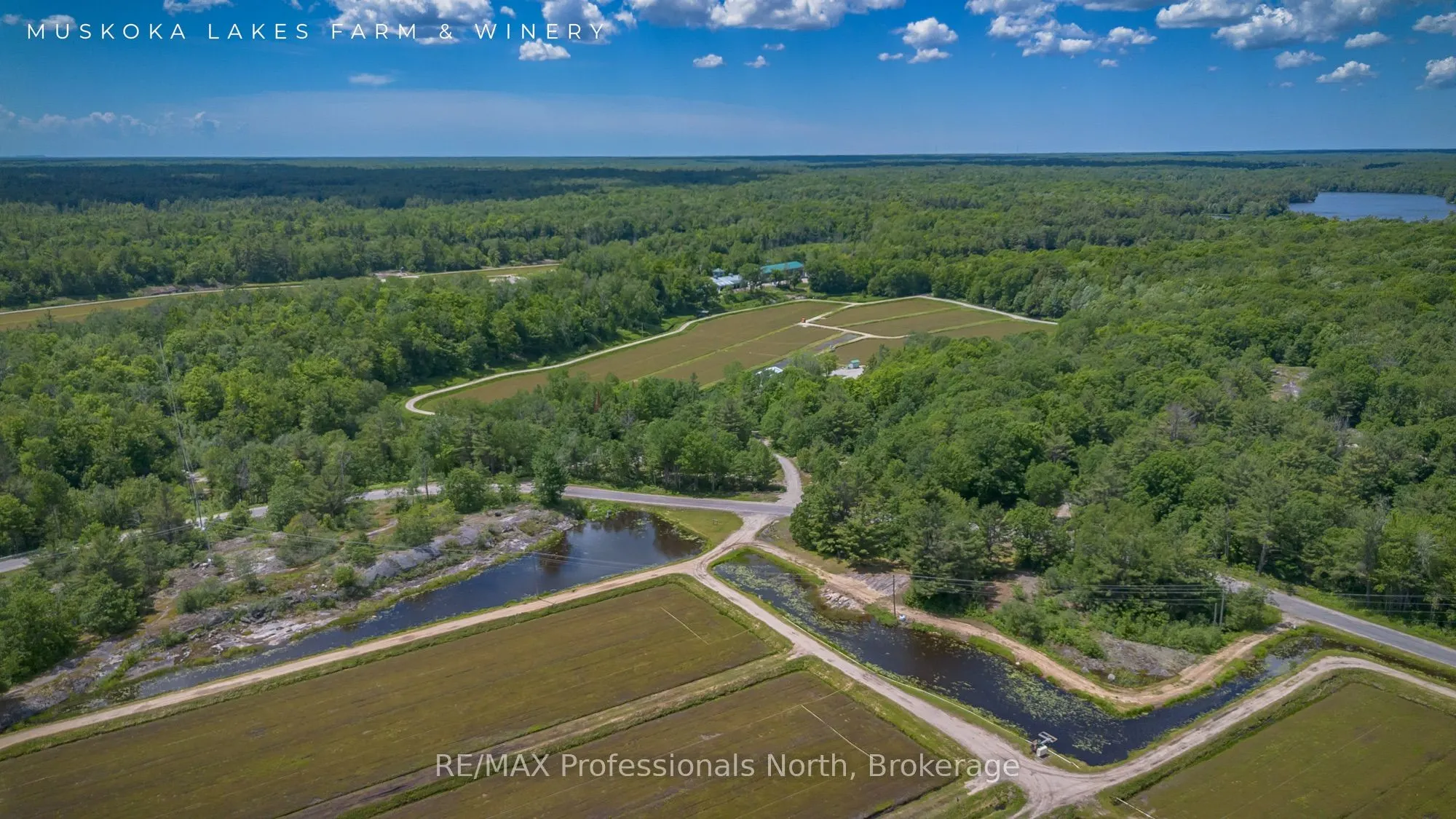 1219 MEDORA LAKE Road