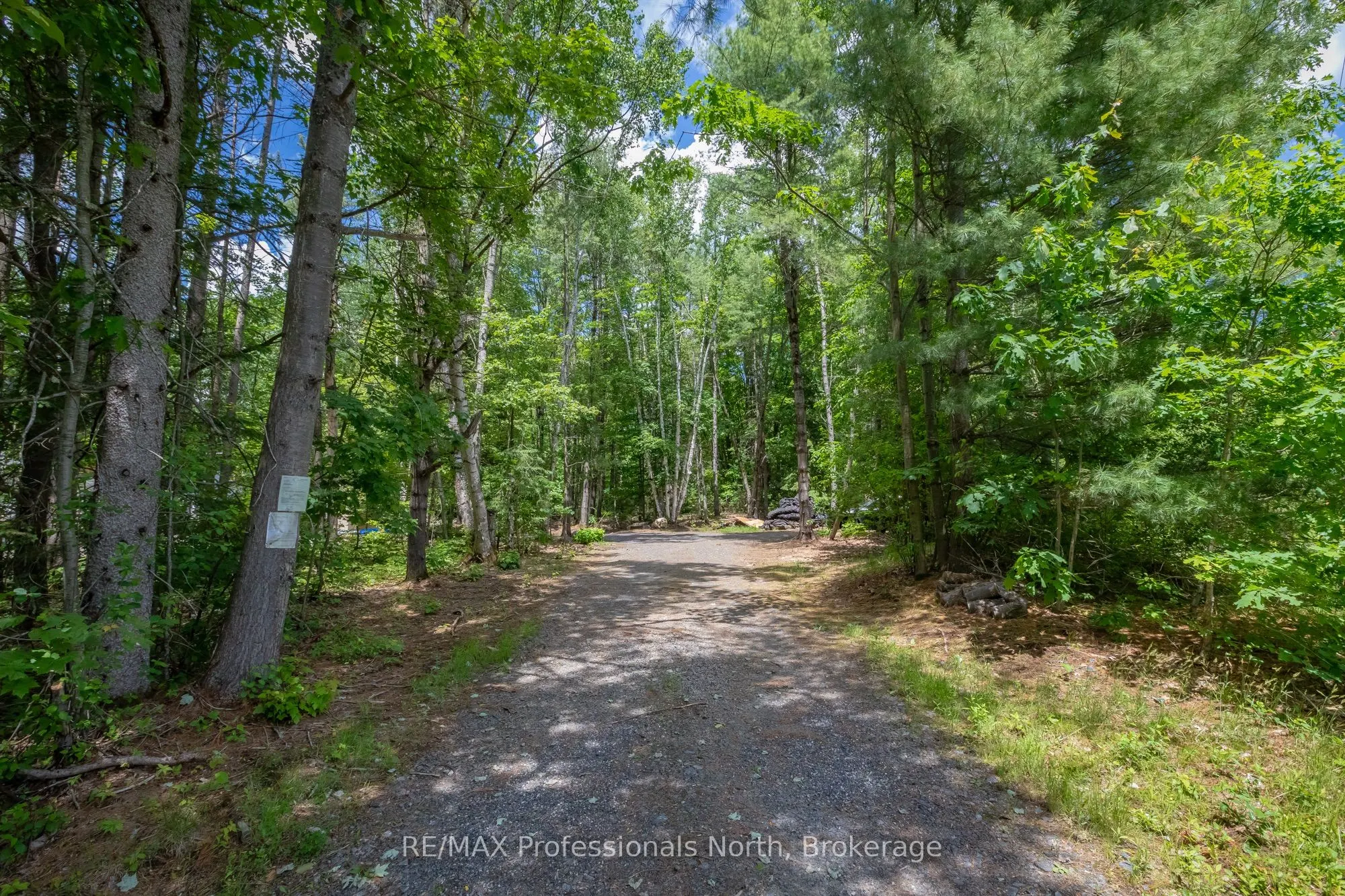 1219 MEDORA LAKE Road