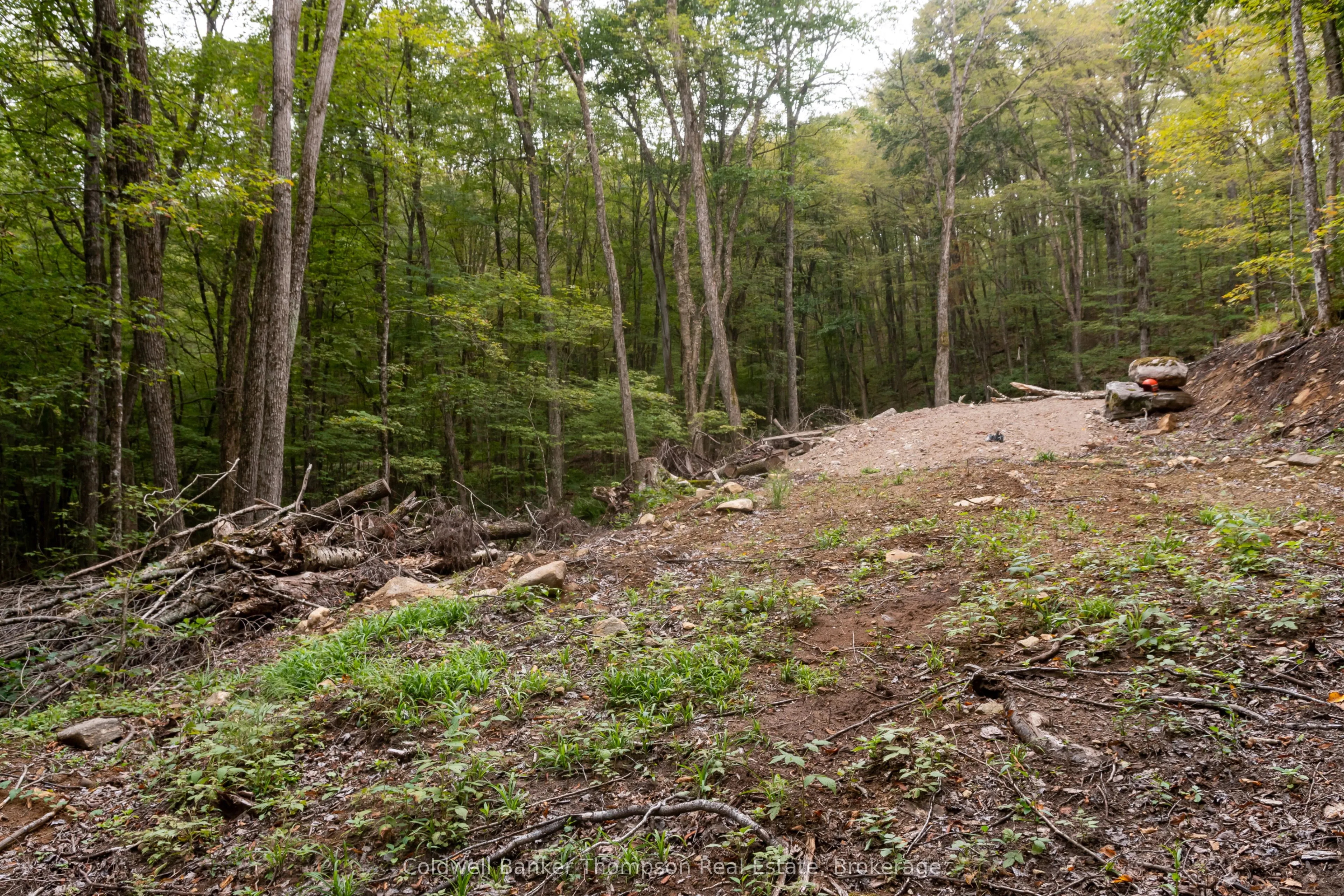 Lot 4 Emsdale Lake Road