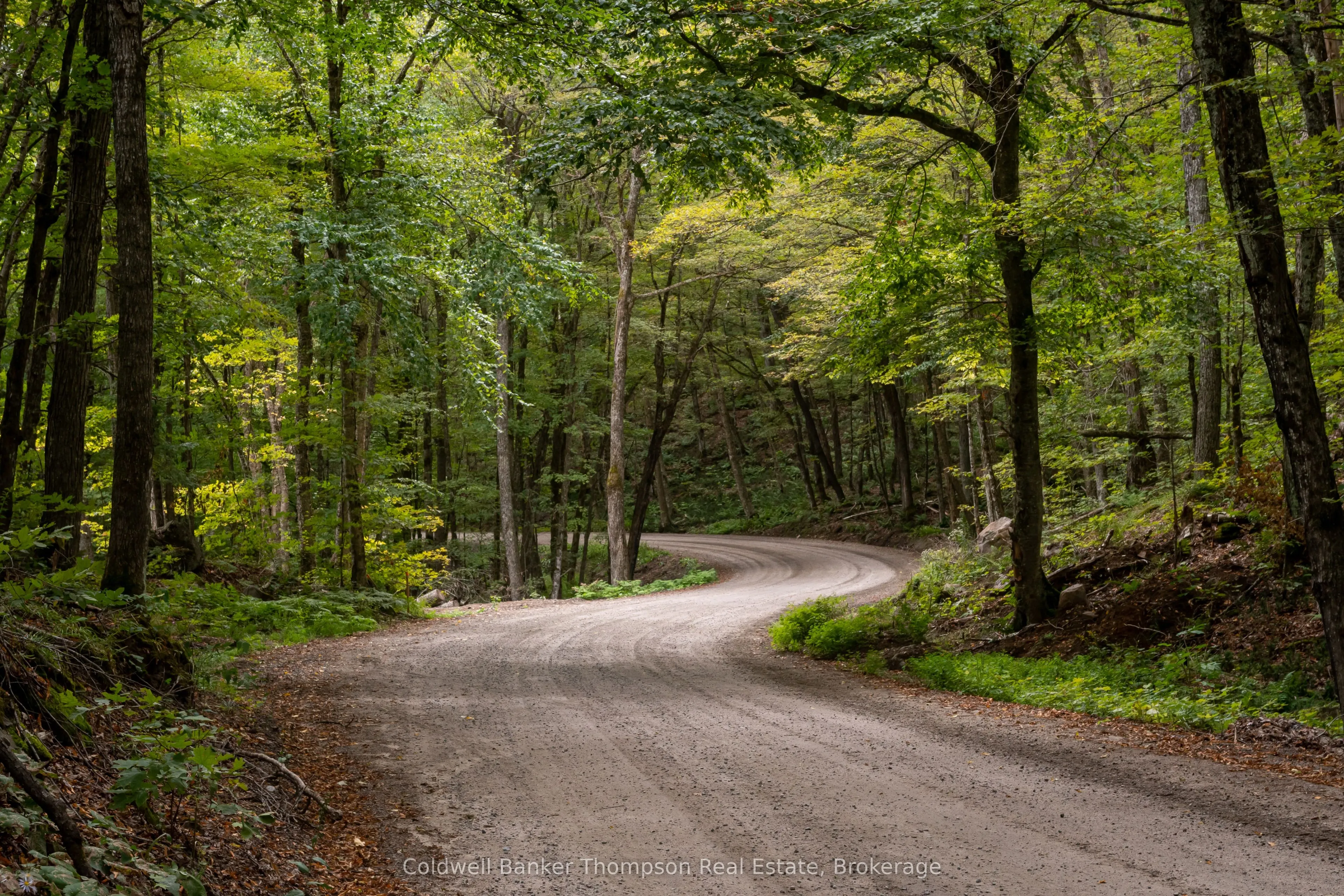 Lot 4 Emsdale Lake Road