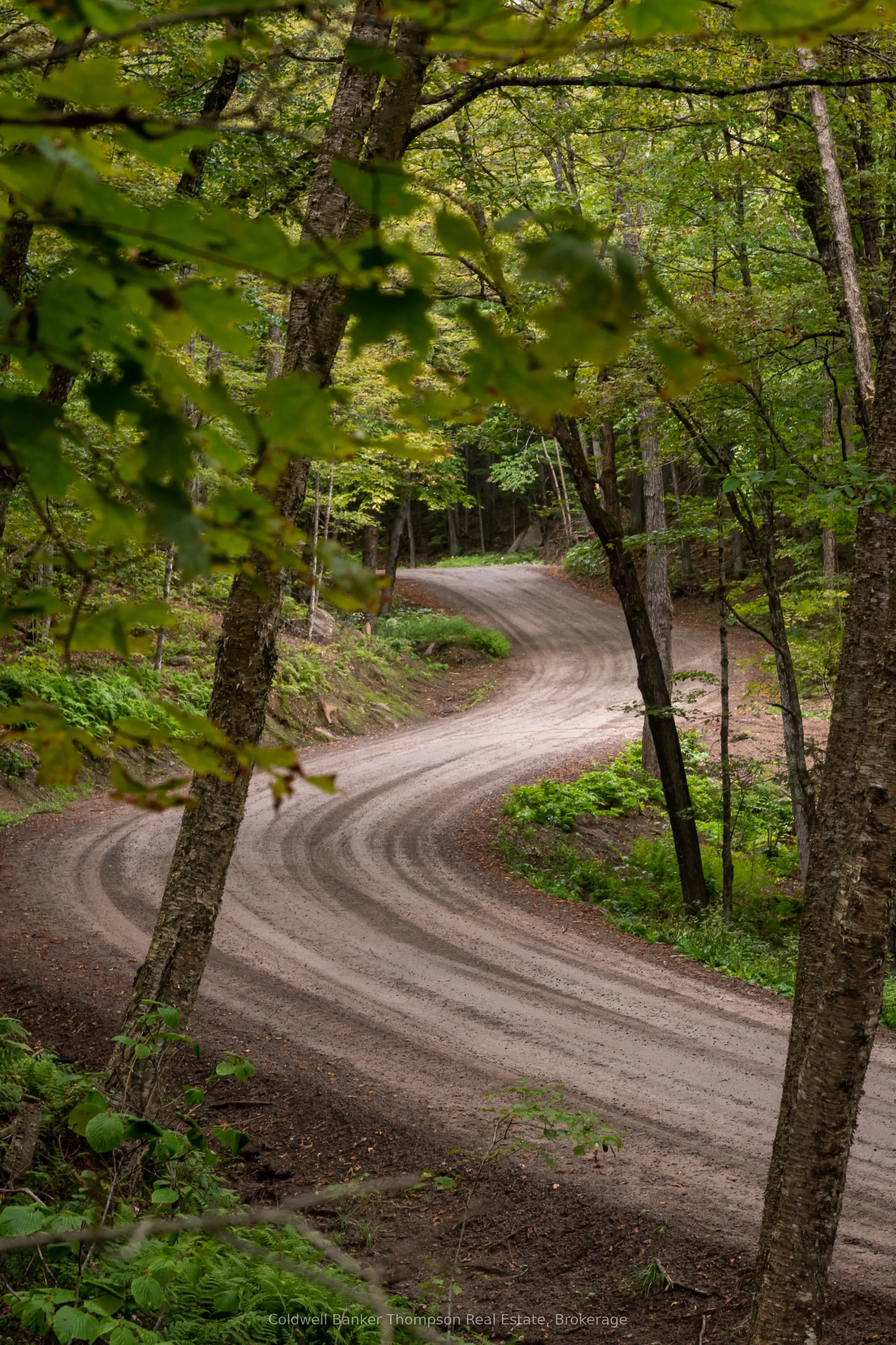 Lot 4 Emsdale Lake Road
