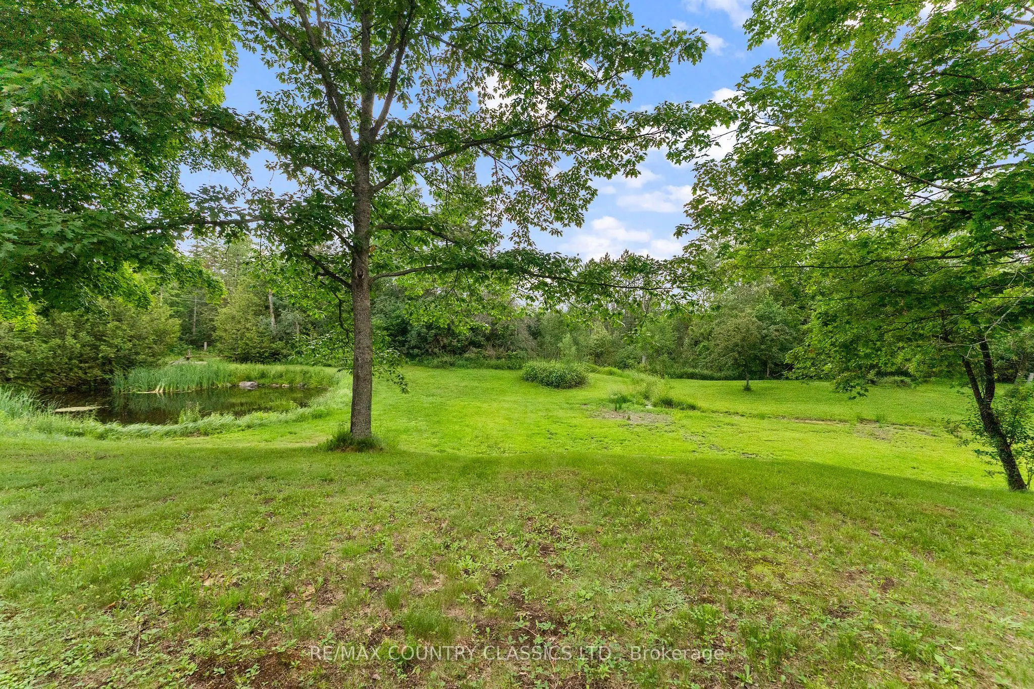 4587 Old Hastings Road