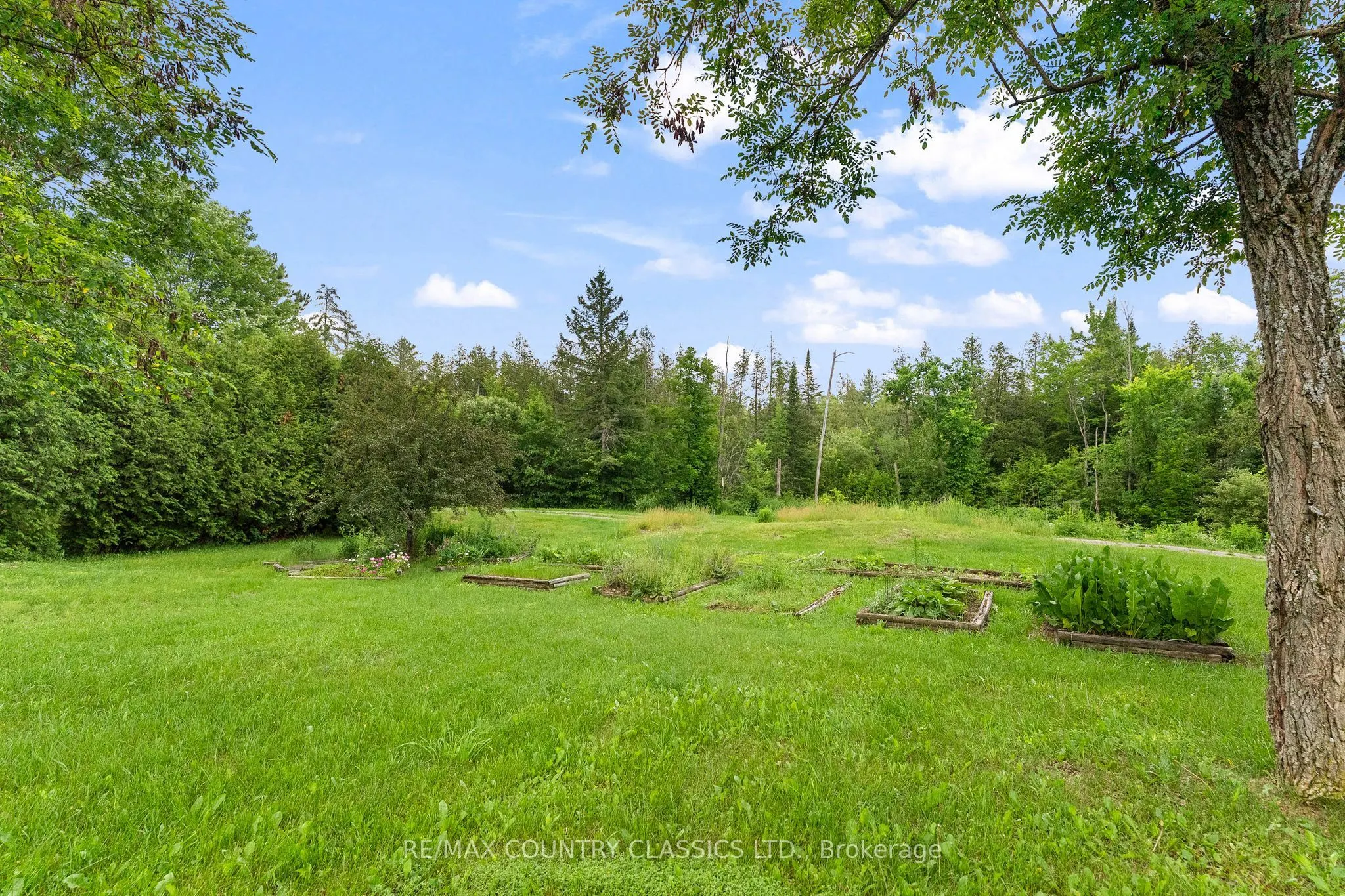 4587 Old Hastings Road