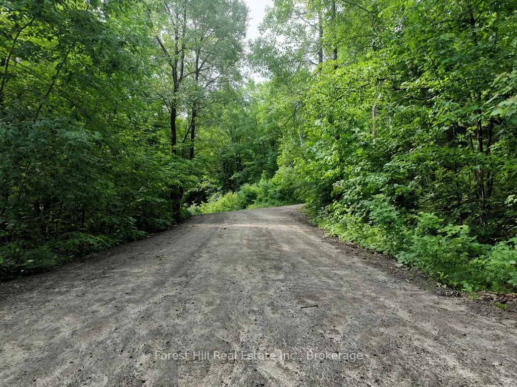 0 Alice Drive