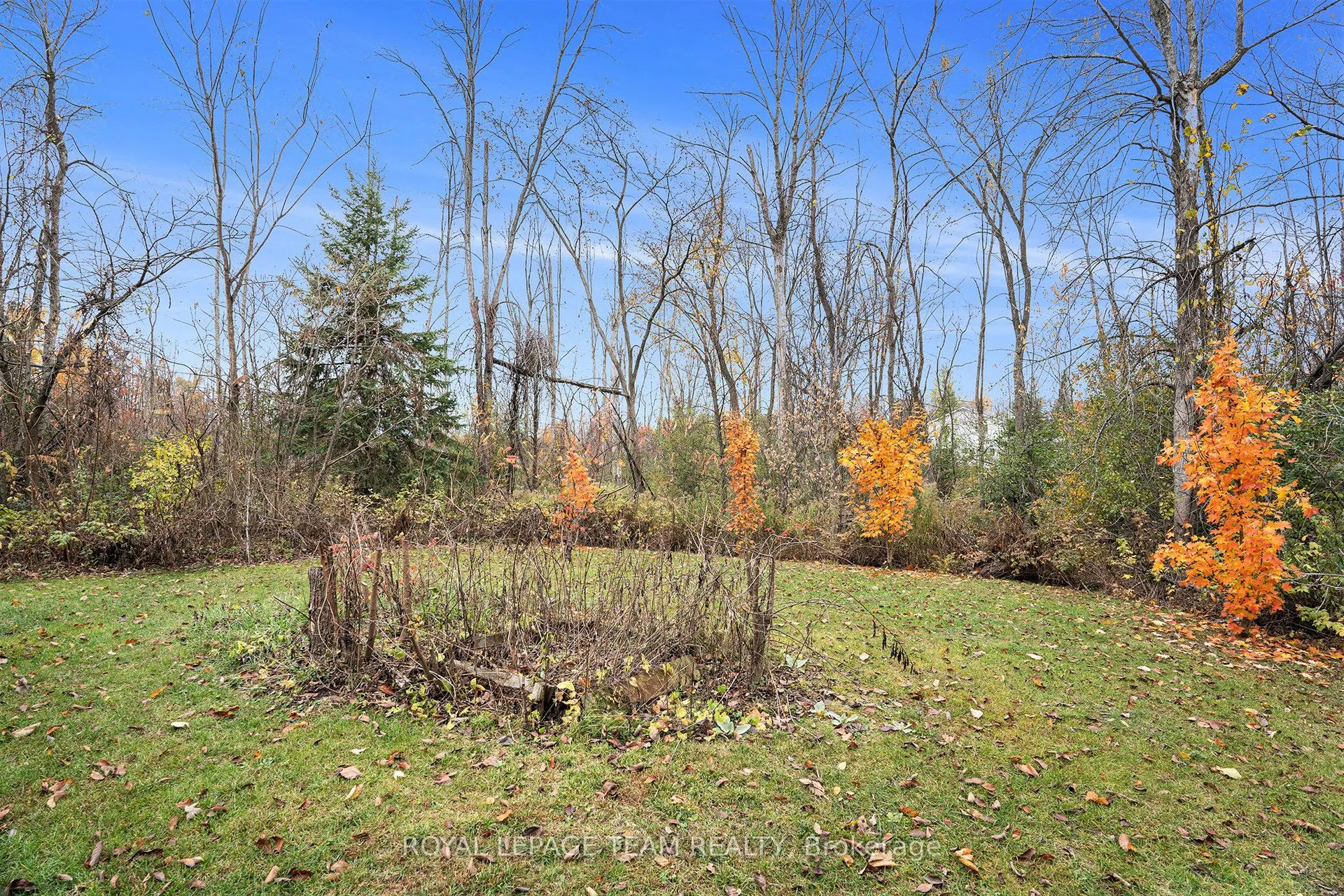 4 Black Walnut Road