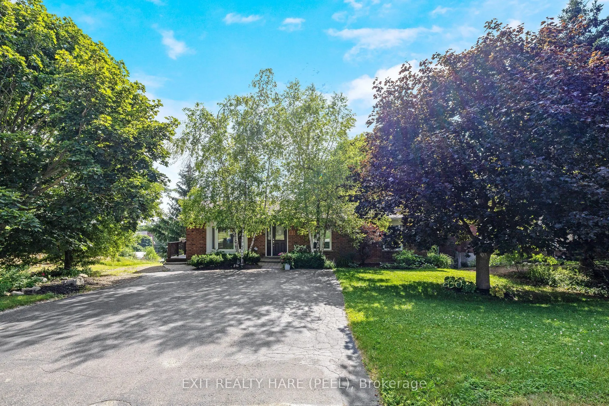 85 Leeson Street S