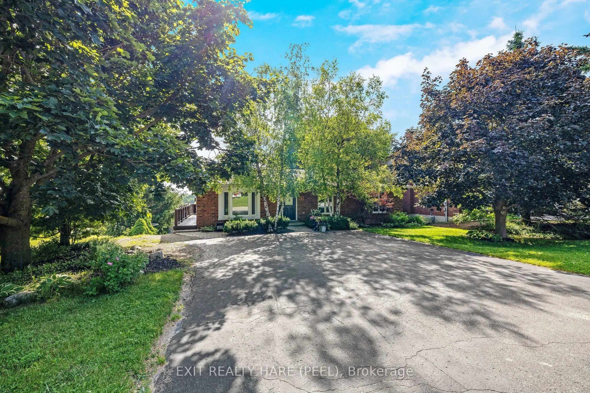85 Leeson Street S