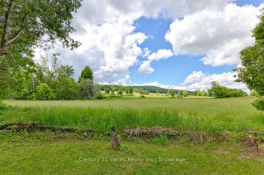 154 Mccauley Mountain Road