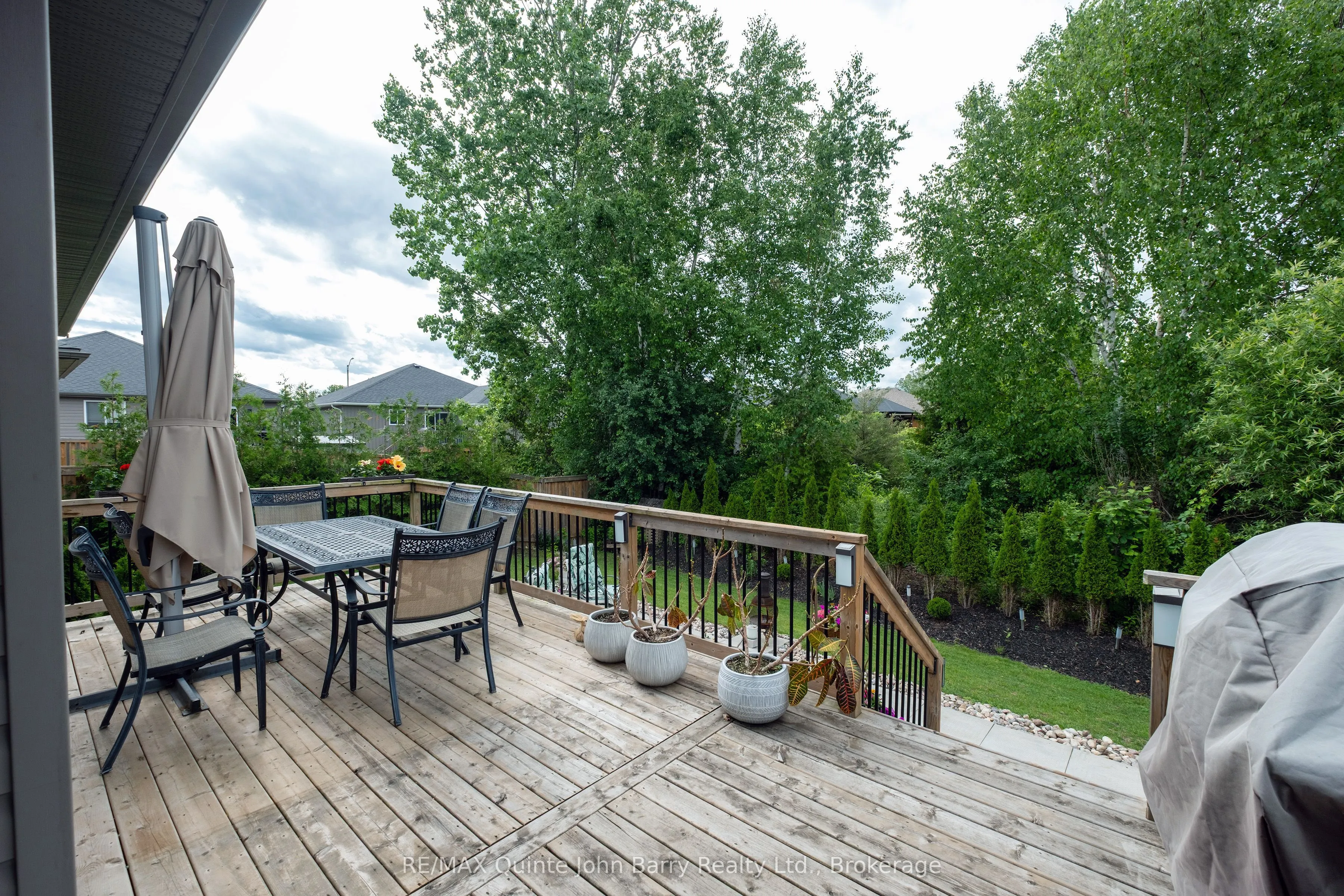 46 Birchmount Street