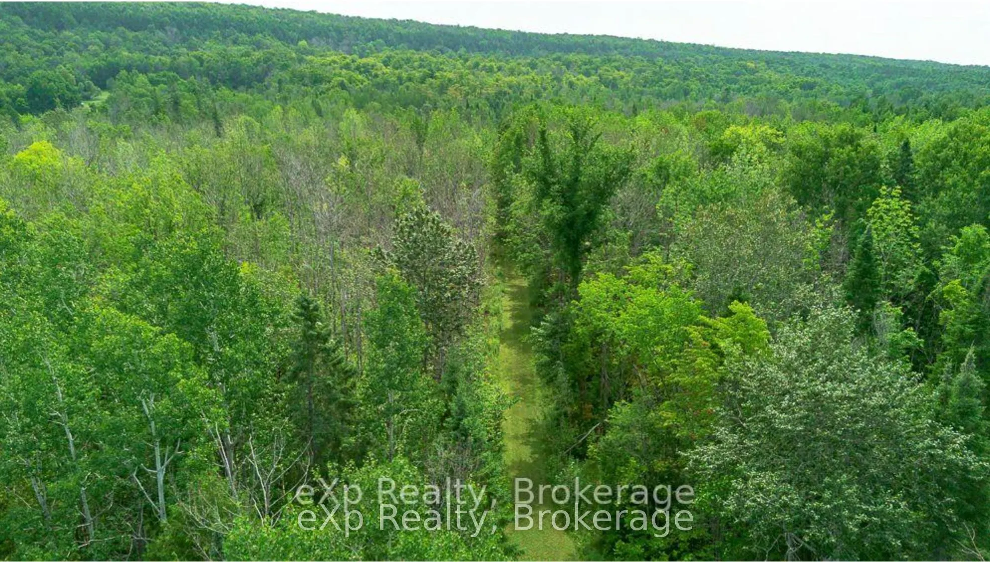 502354 Grey Road 1 Road