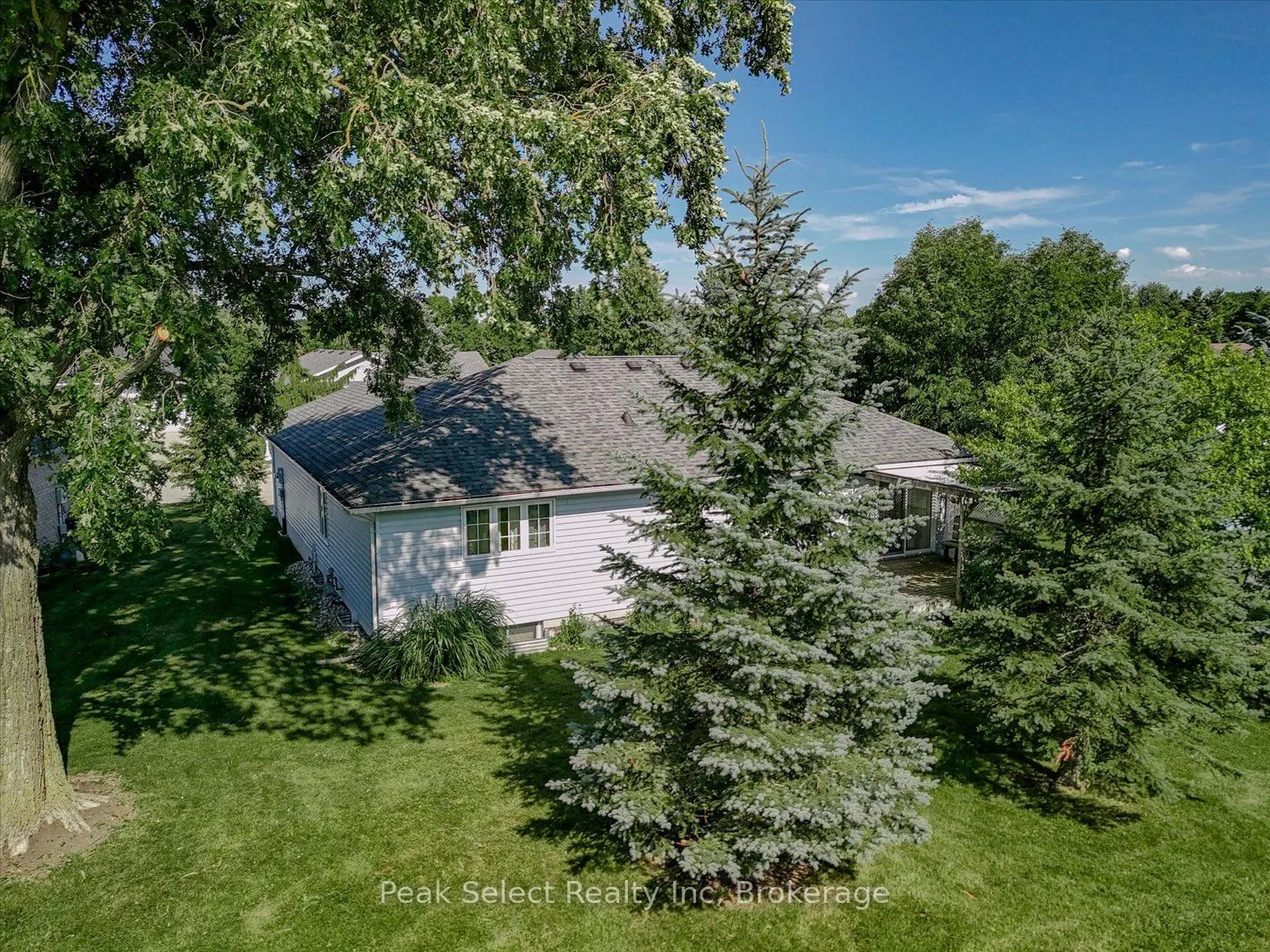 30 Ann Street #31