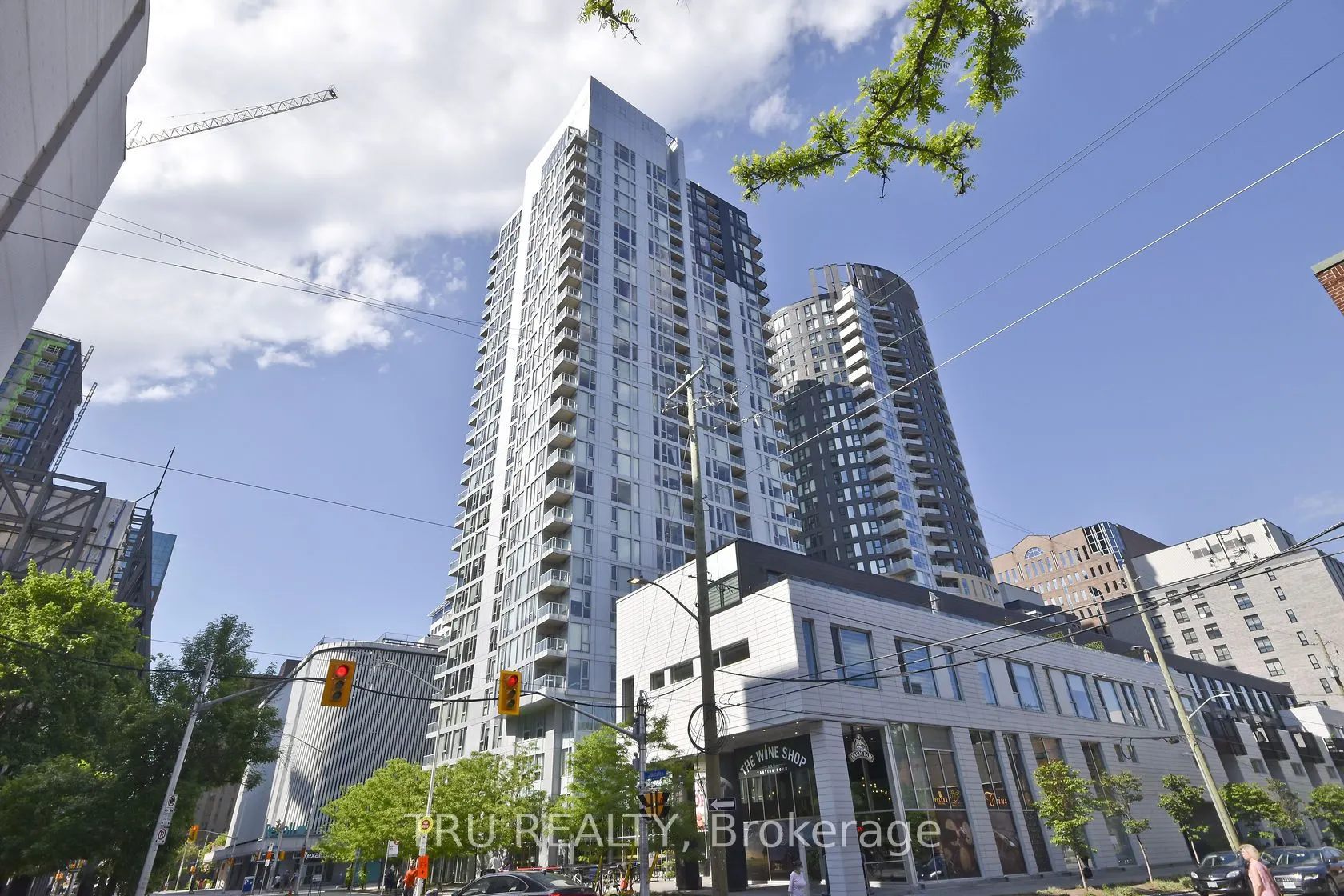 179 Metcalfe Street #1110