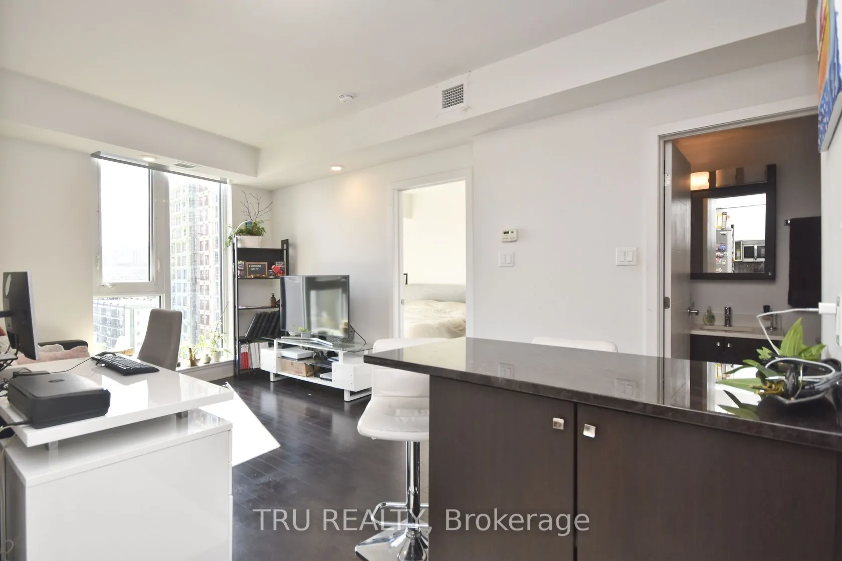 179 Metcalfe Street #1110