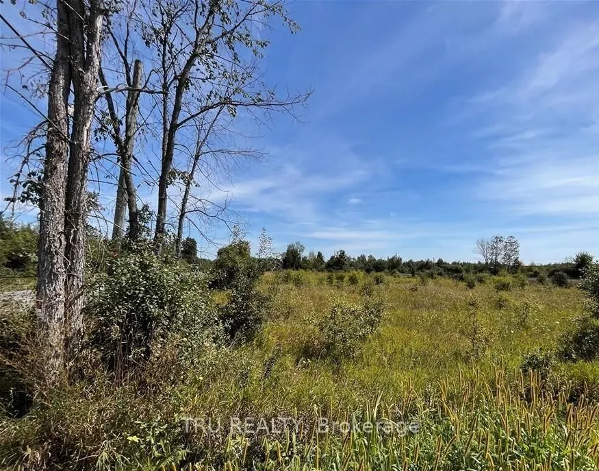 394 Scotch Line Road