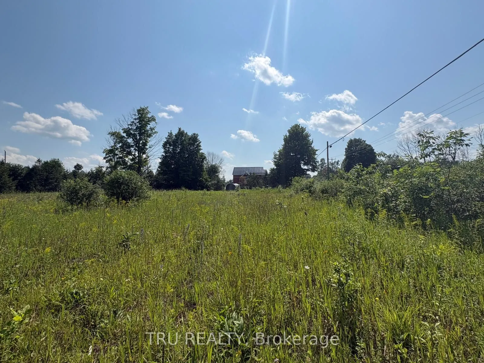 394 Scotch Line Road