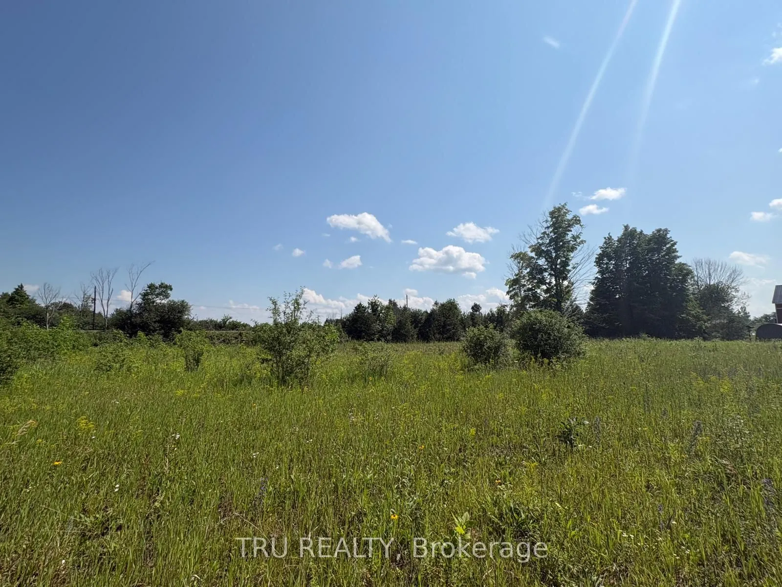 394 Scotch Line Road