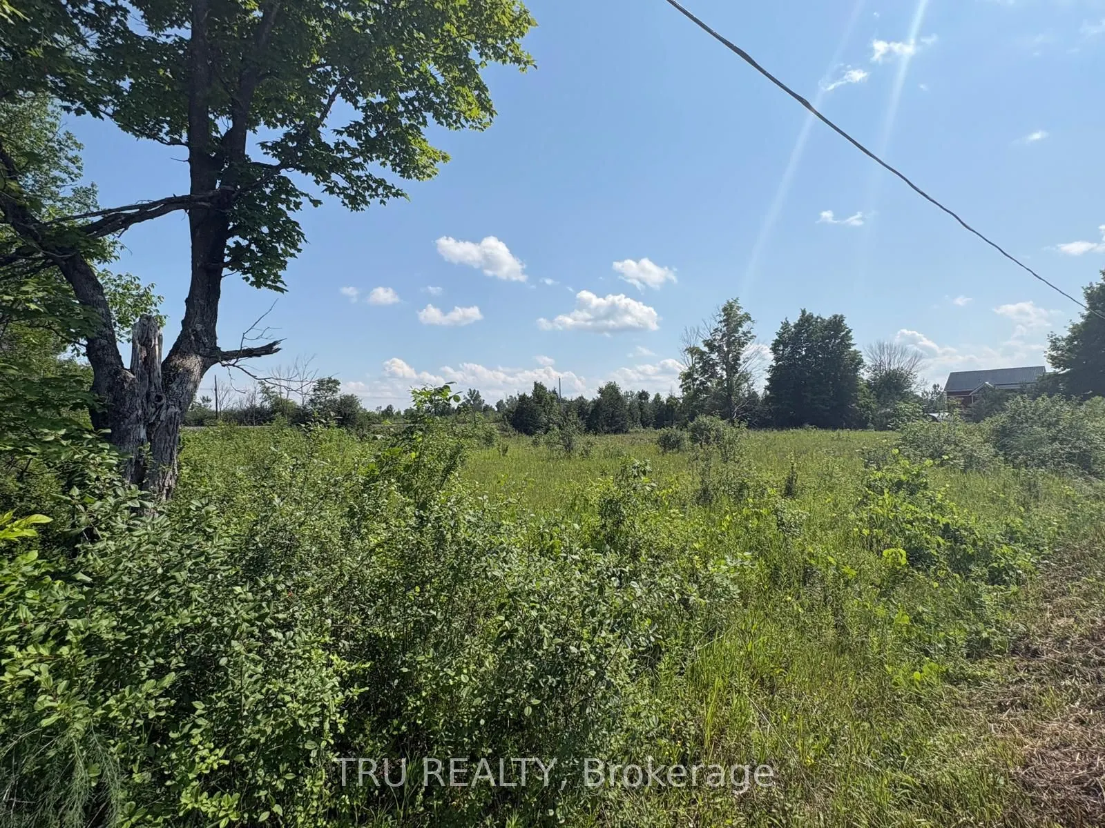 394 Scotch Line Road