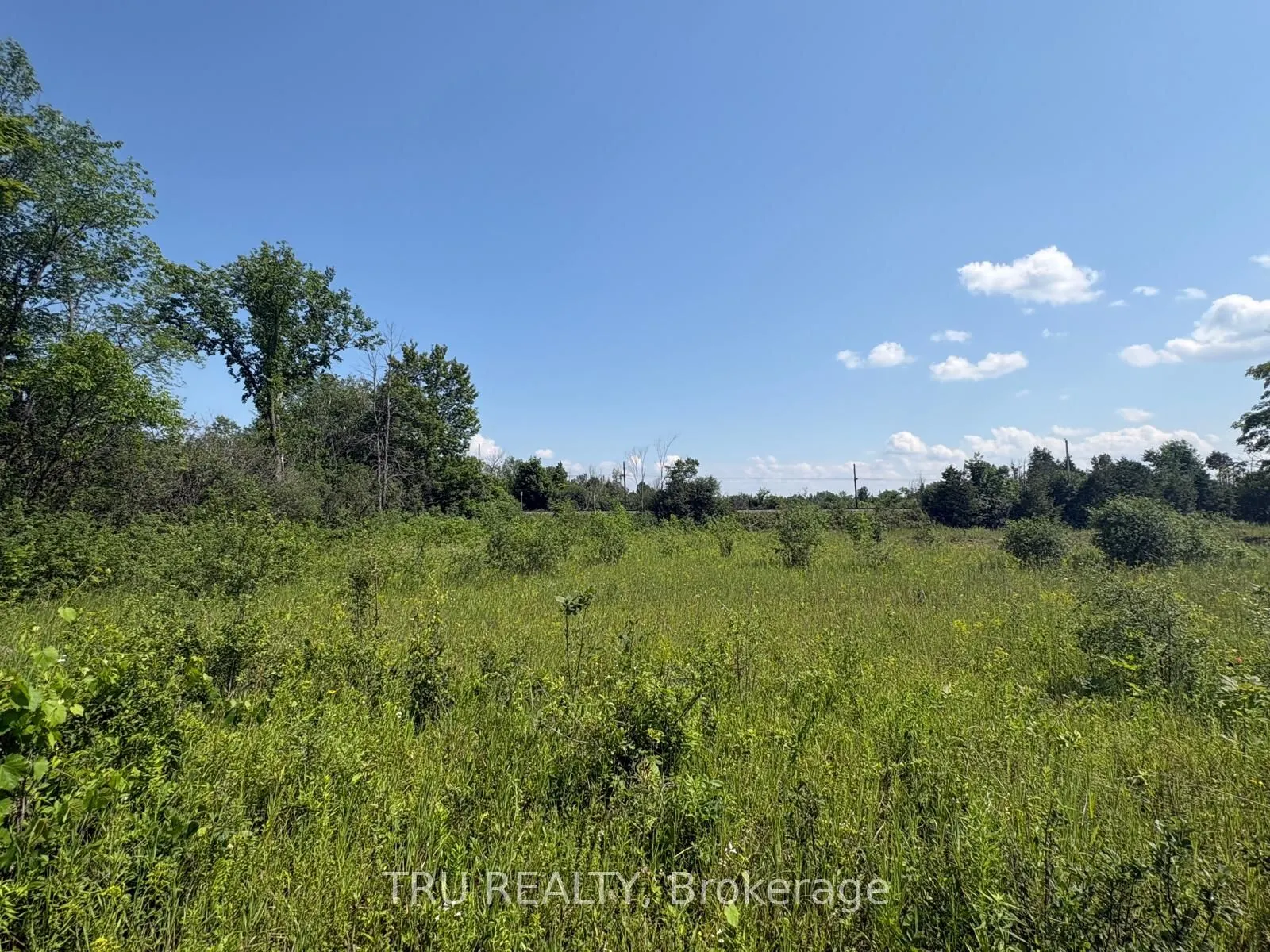 394 Scotch Line Road