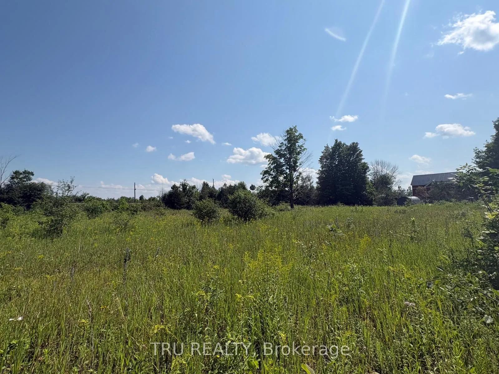 394 Scotch Line Road