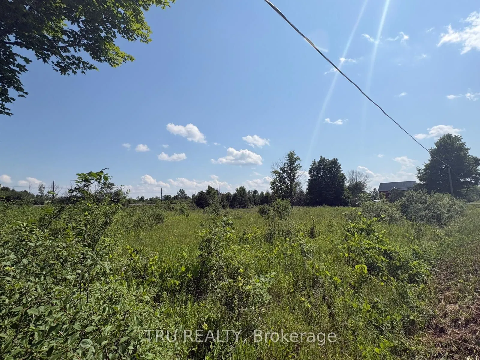 394 Scotch Line Road