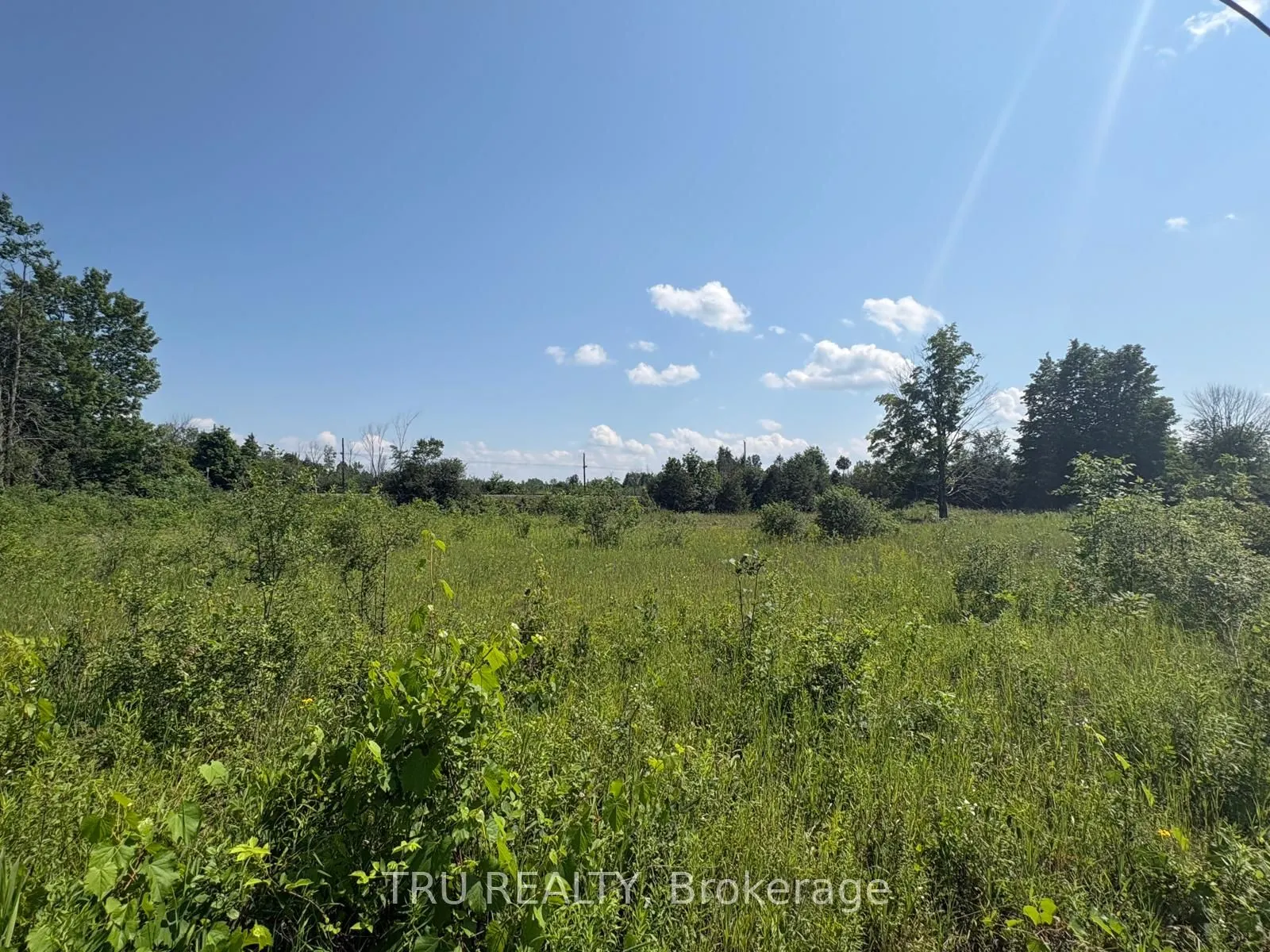 394 Scotch Line Road