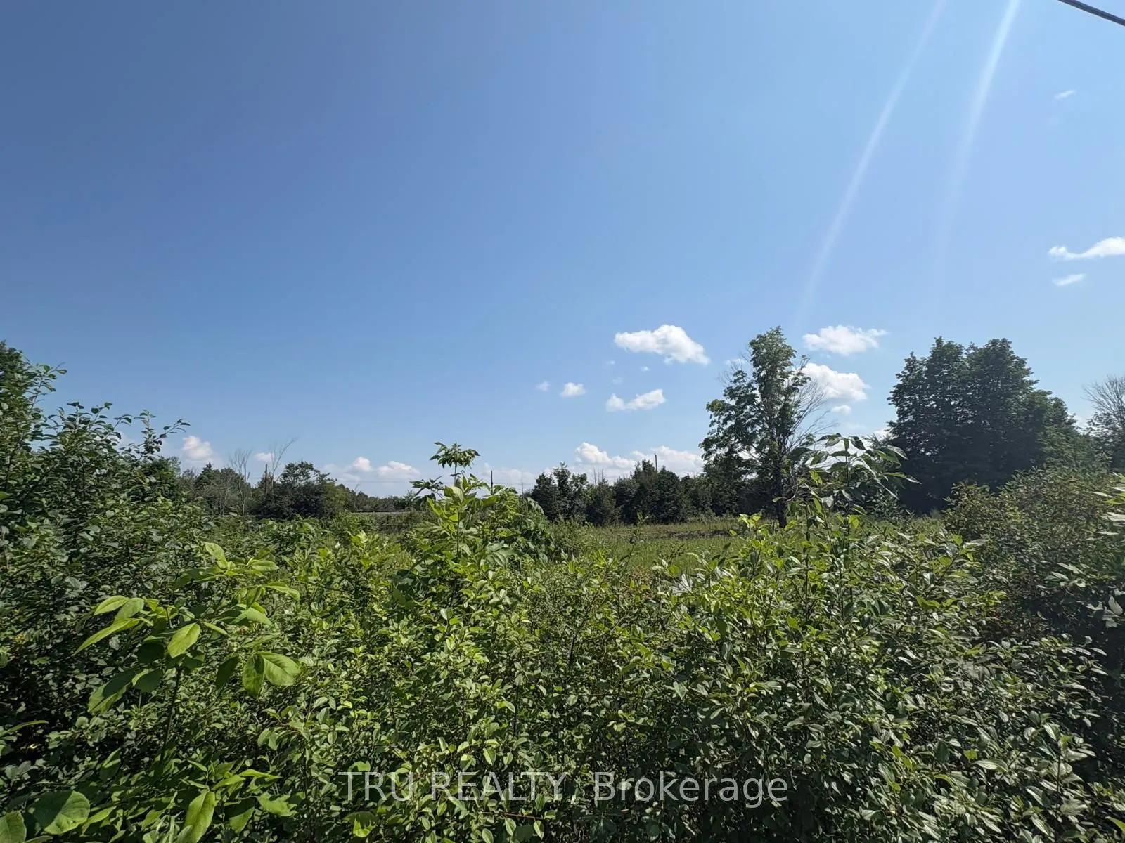 394 Scotch Line Road