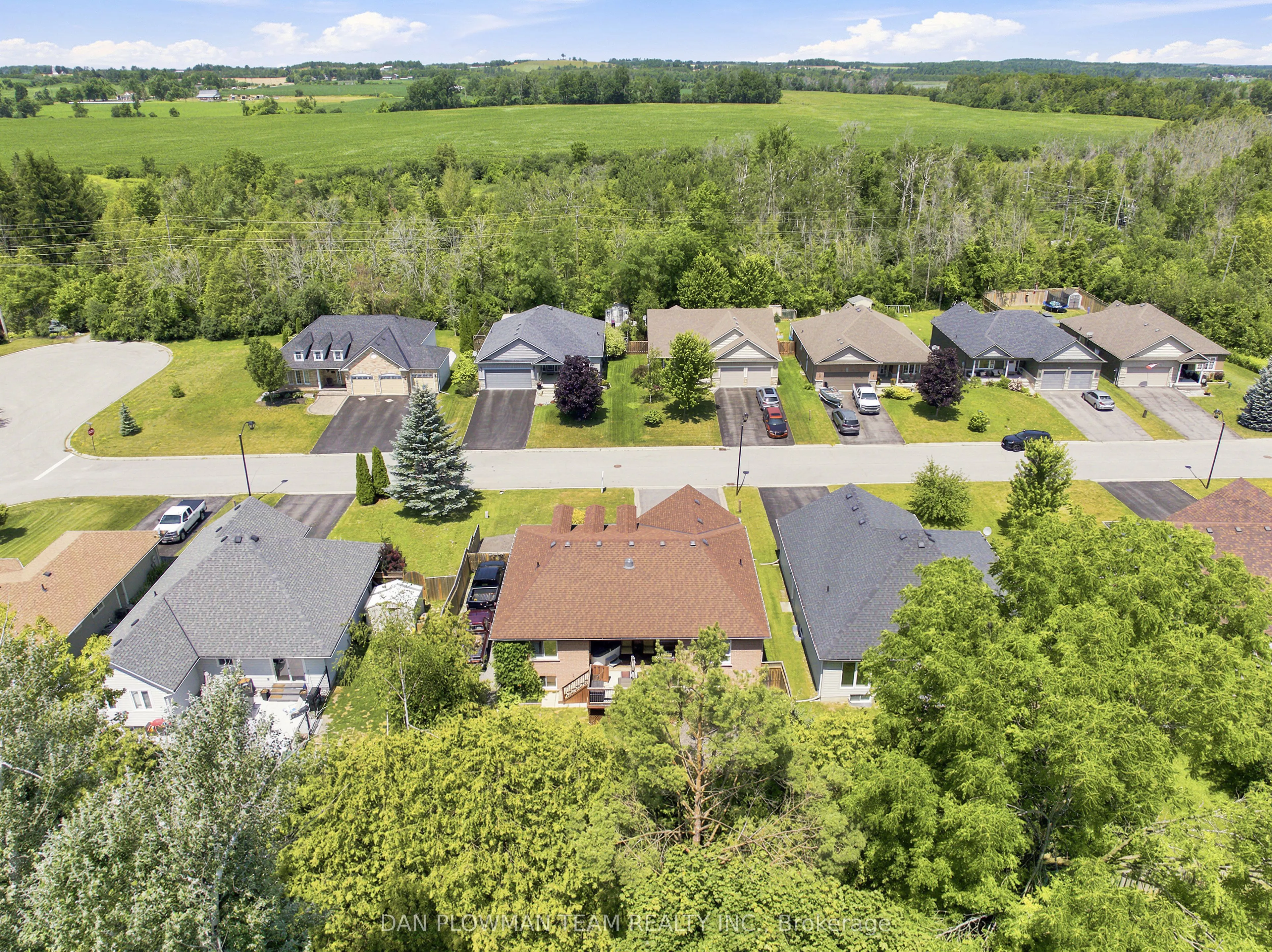 10 Springbank Road
