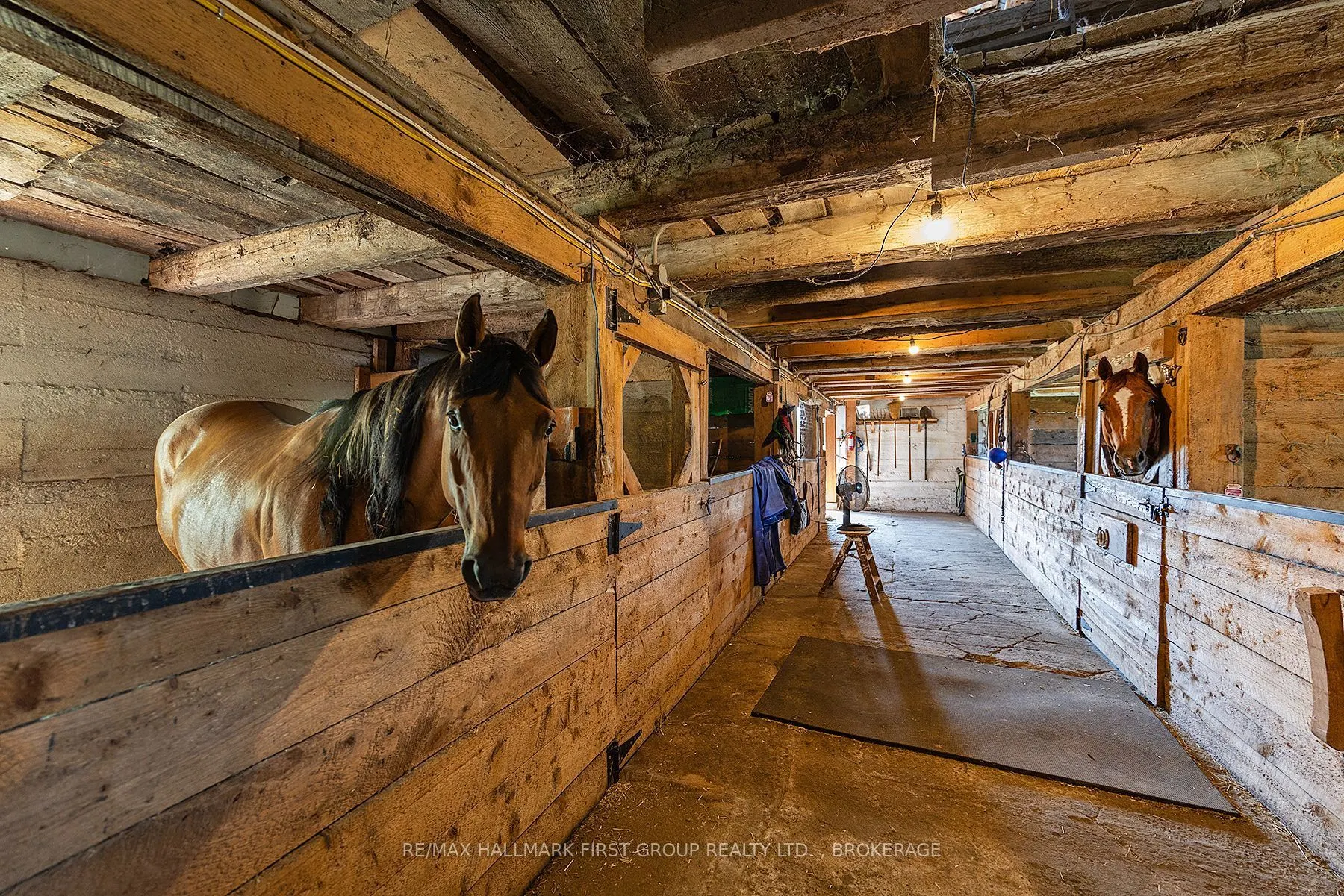 3656 County Rd 14