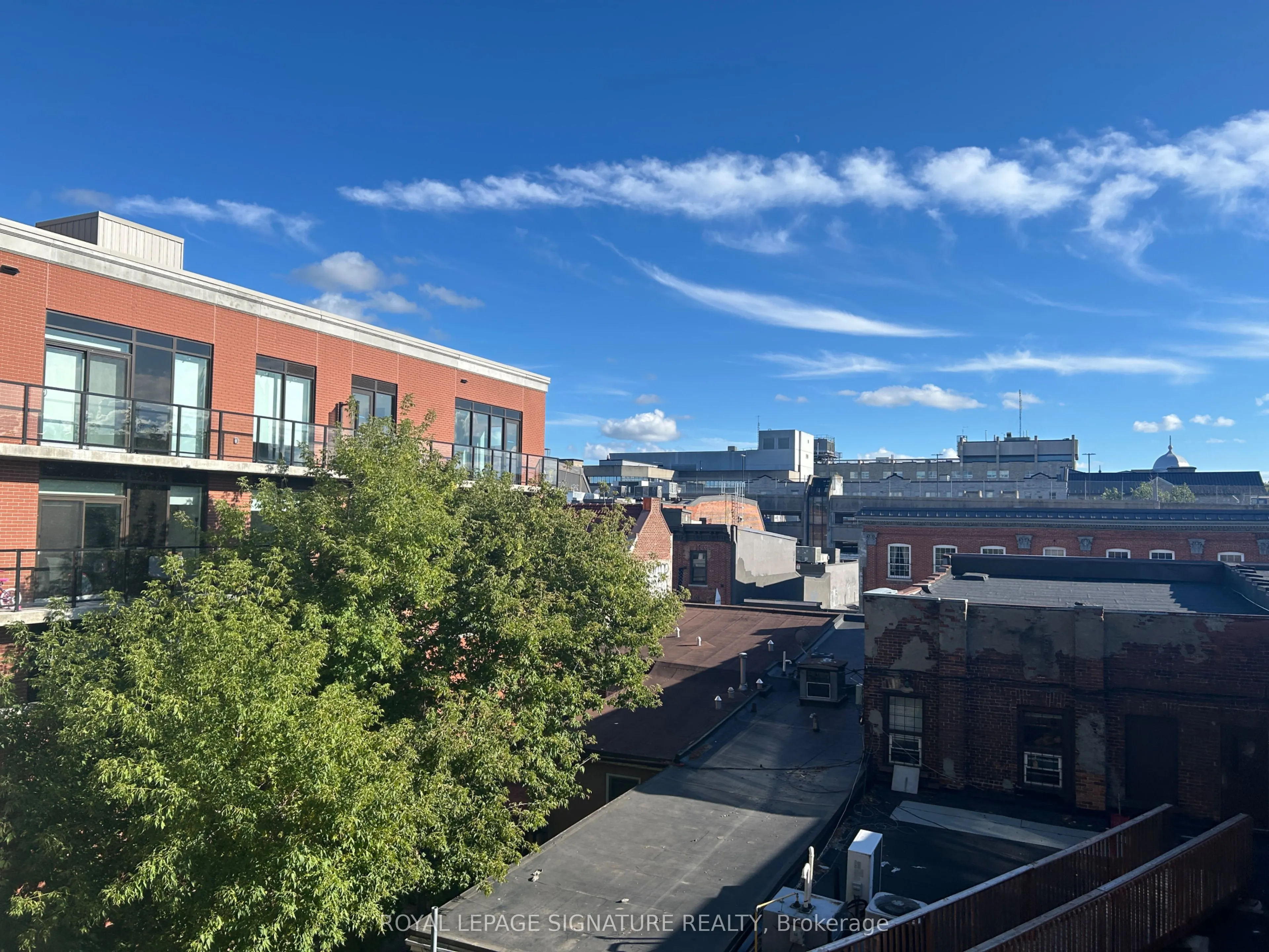 223 Princess Street #413