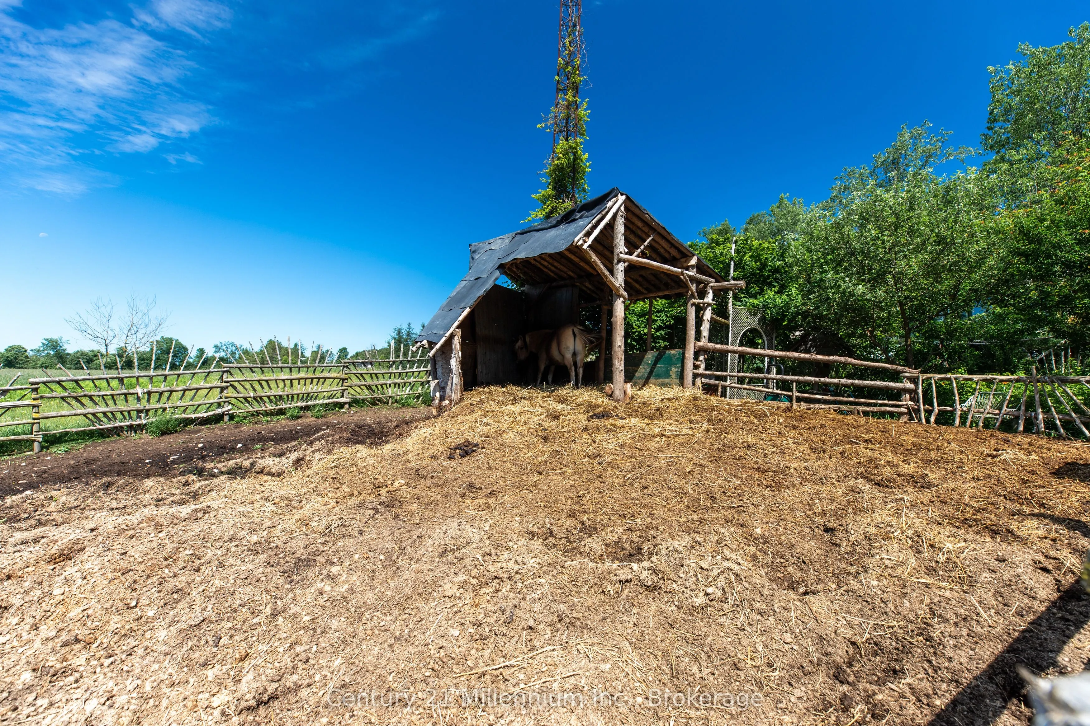 612608 Sideroad 61