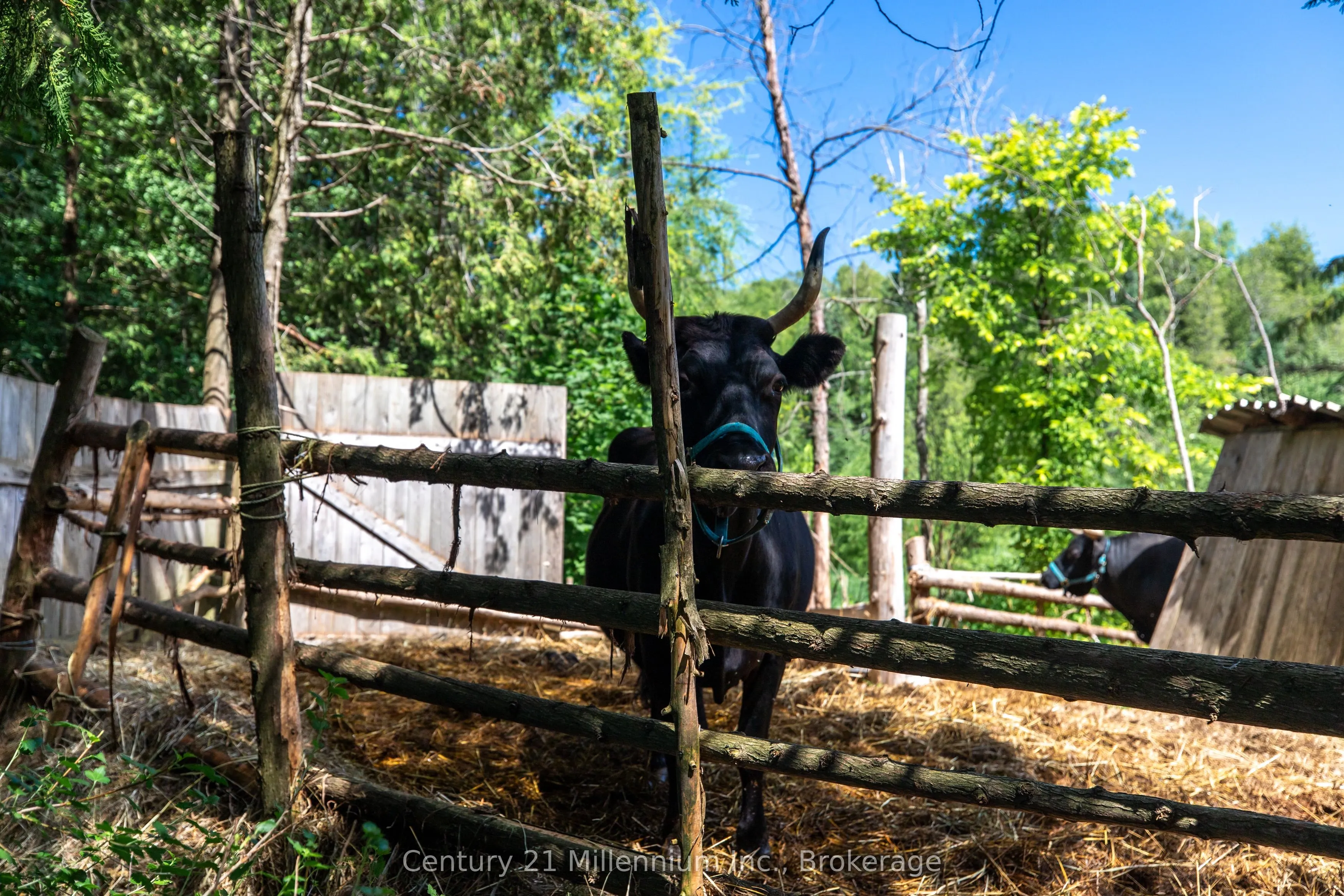 612608 Sideroad 61