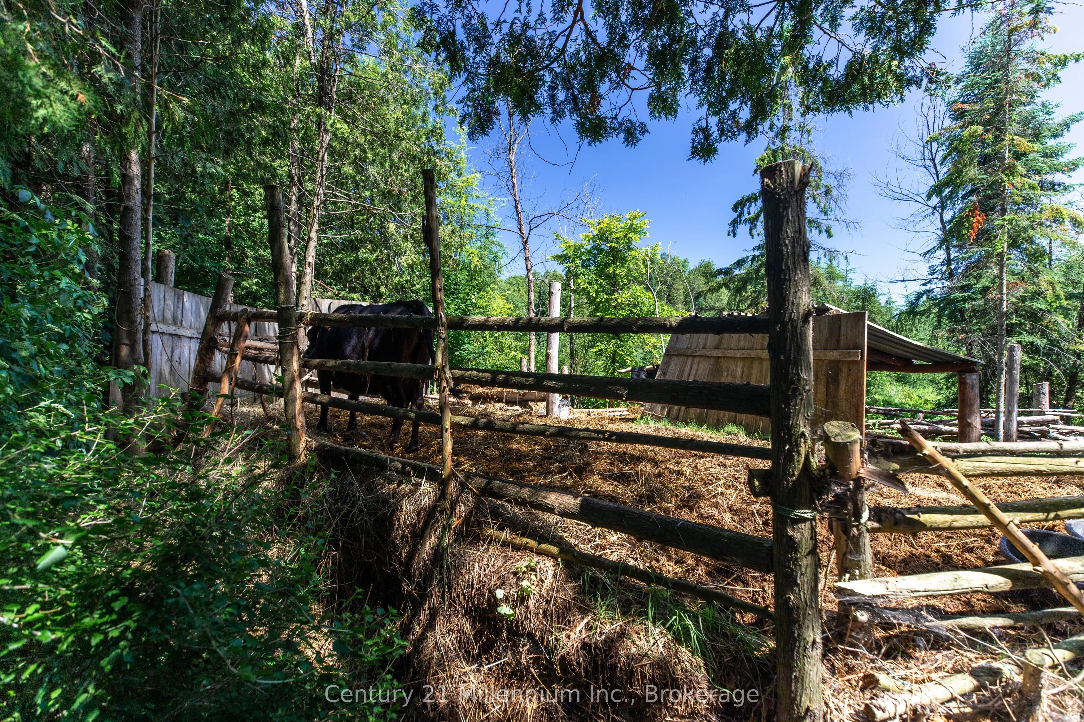 612608 Sideroad 61