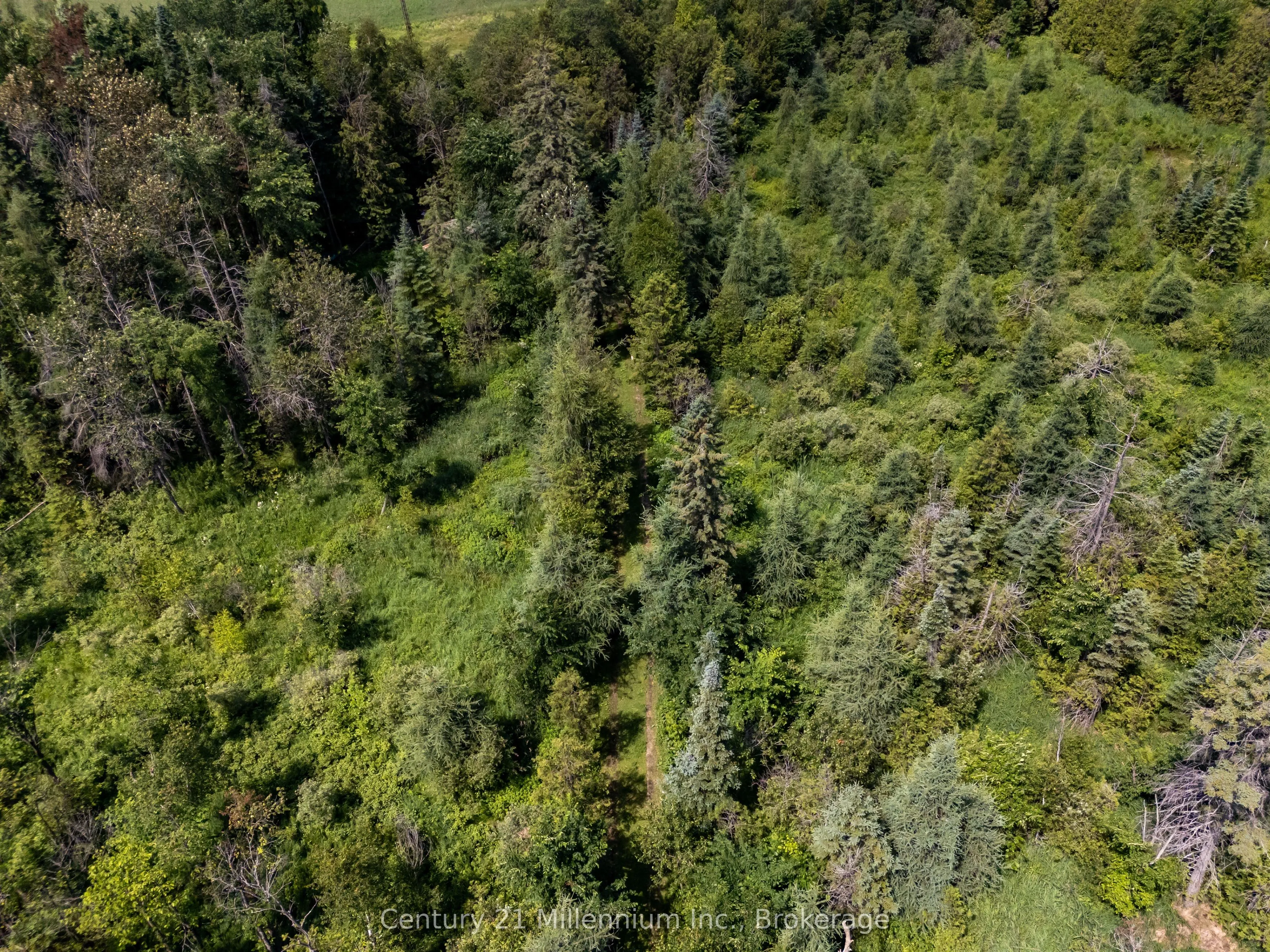 612608 Sideroad 61
