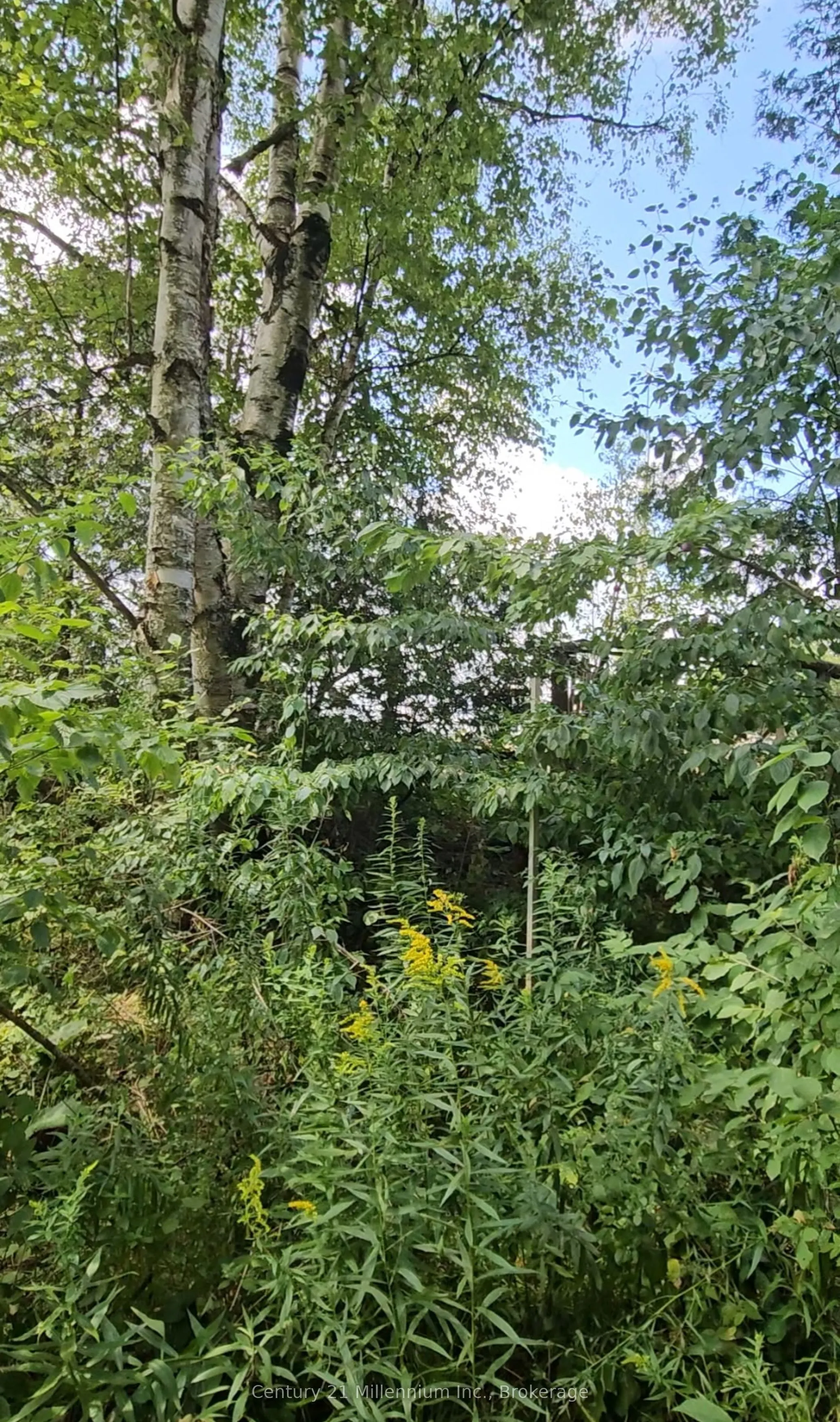 612608 Sideroad 61