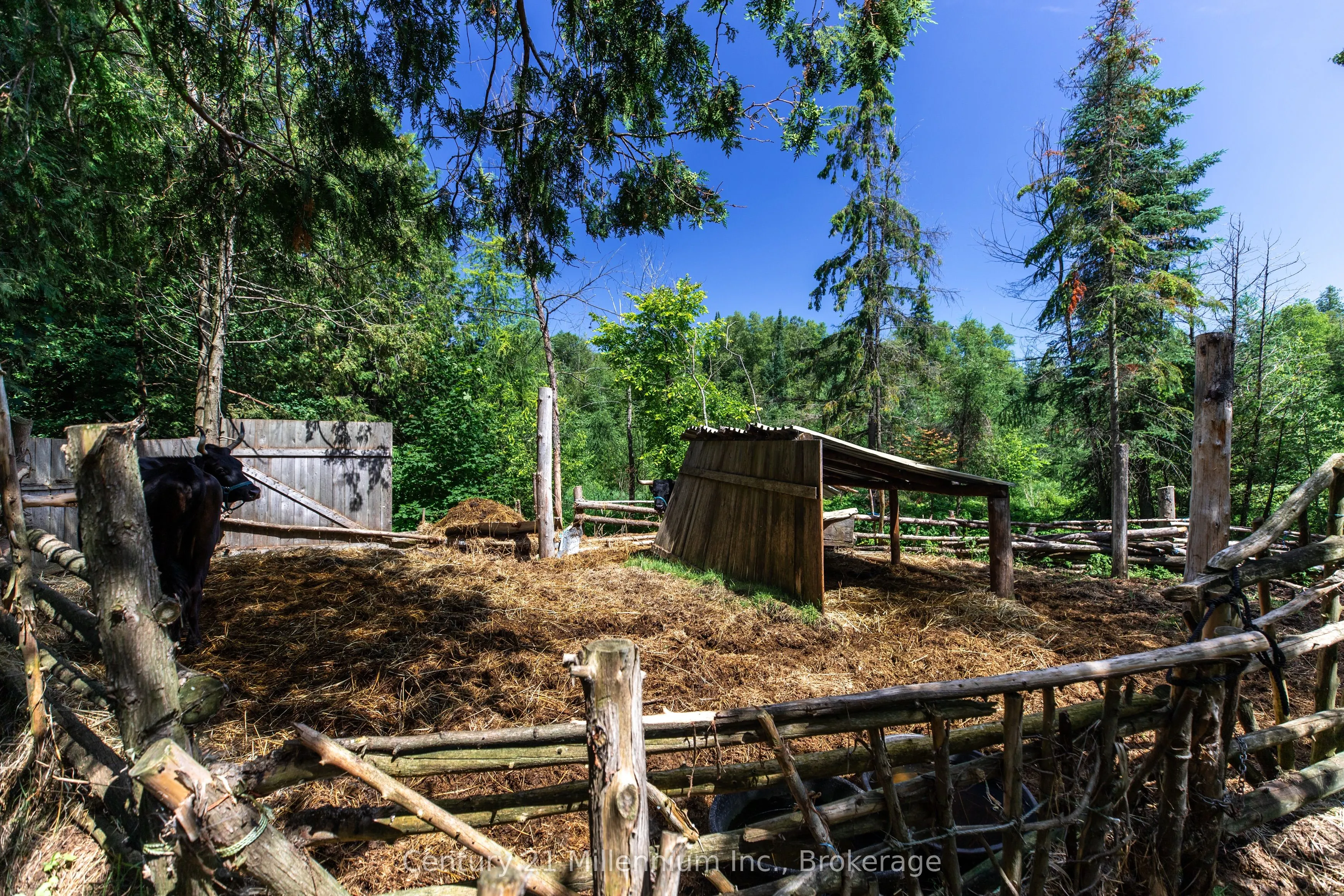612608 Sideroad 61
